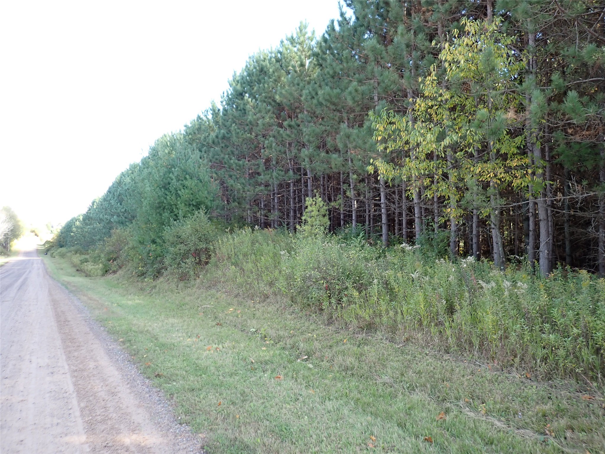 Property Photo #2