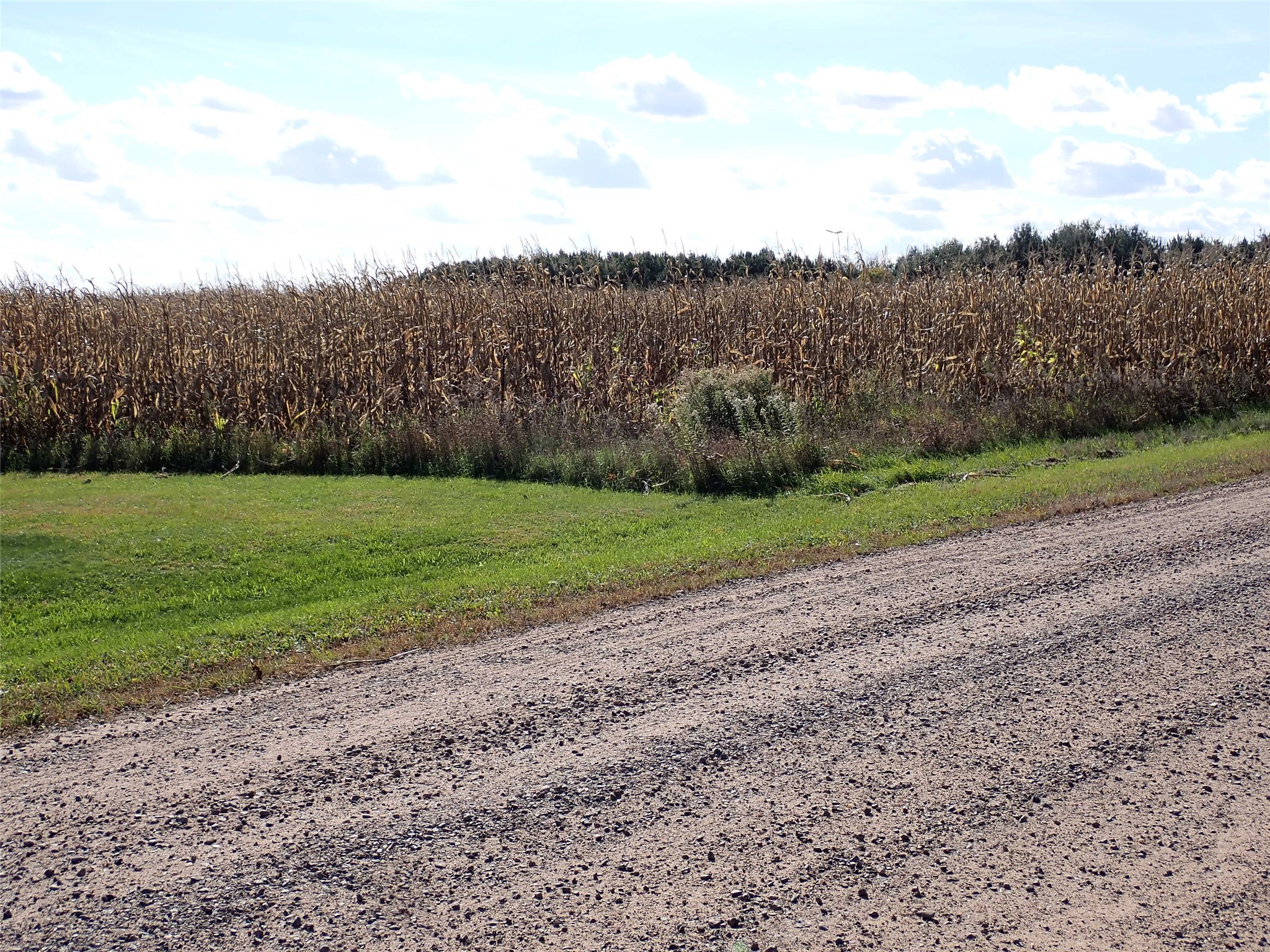Property Photo #3