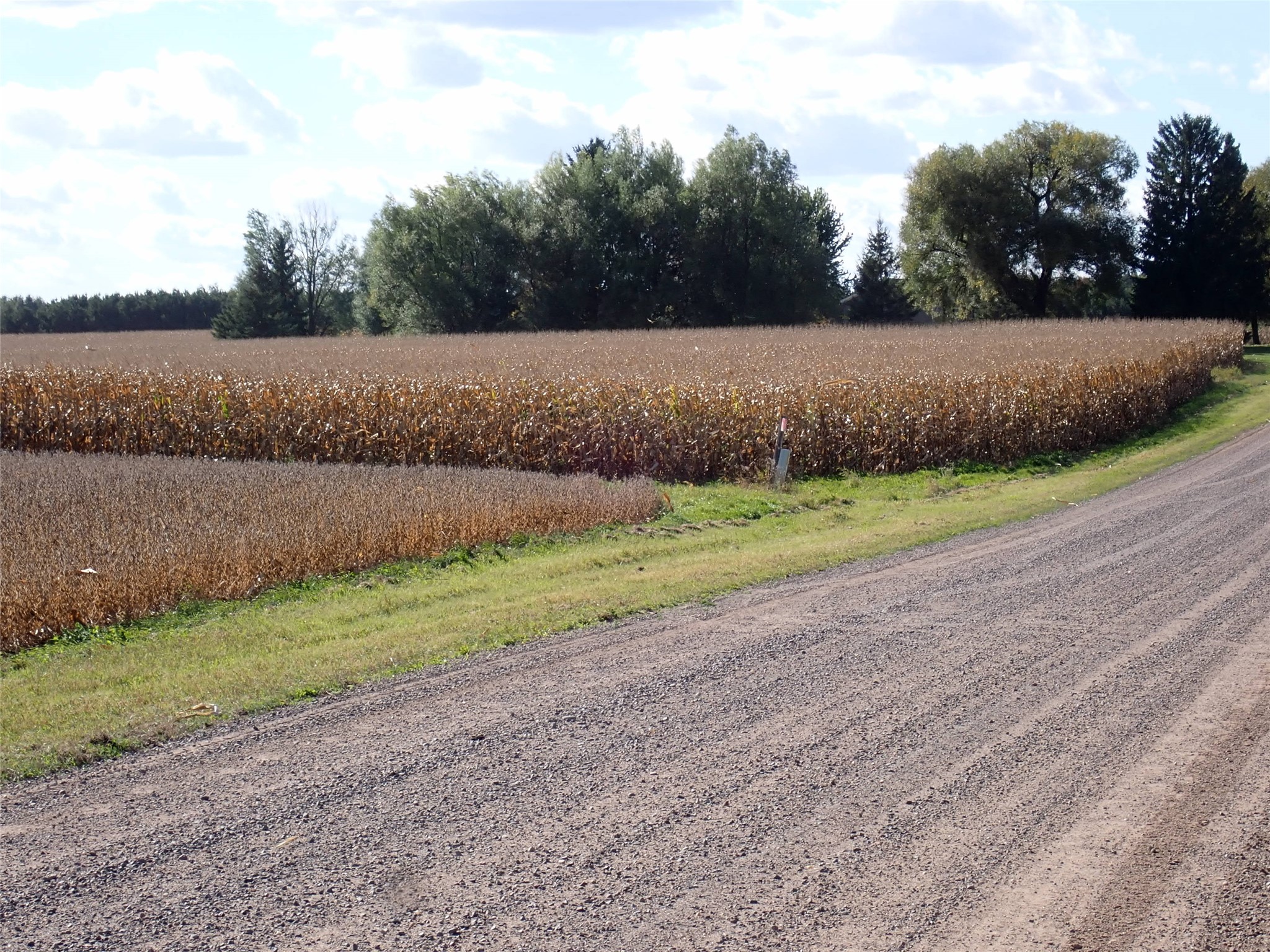 Property Photo #4