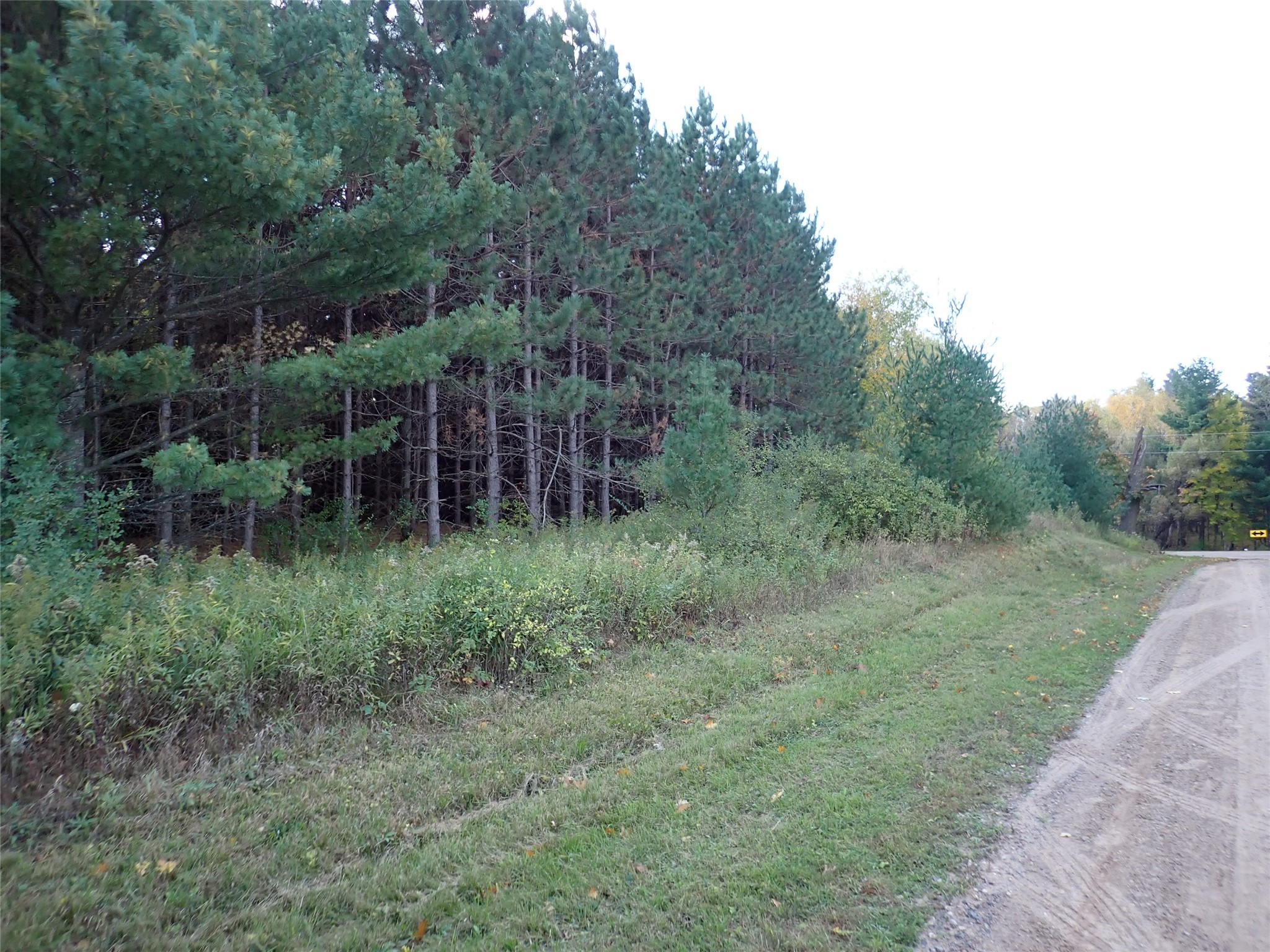 Property Photo #5