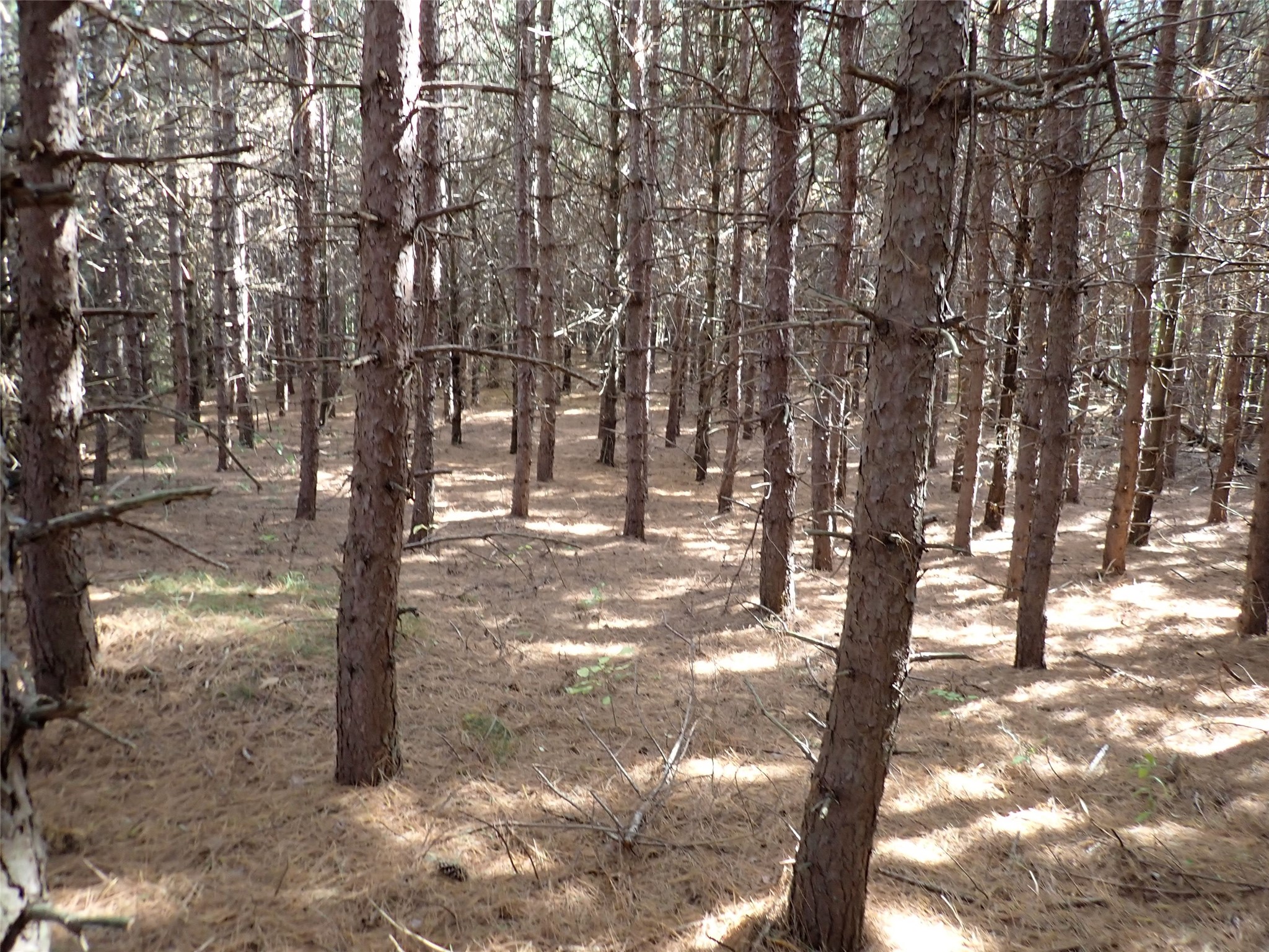 Property Photo #6