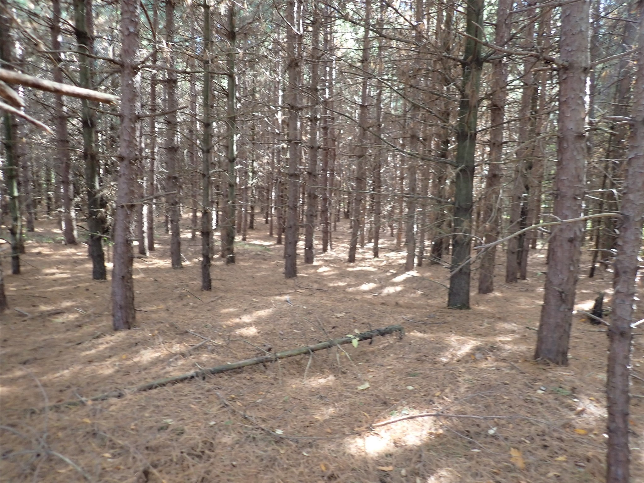 Property Photo #7