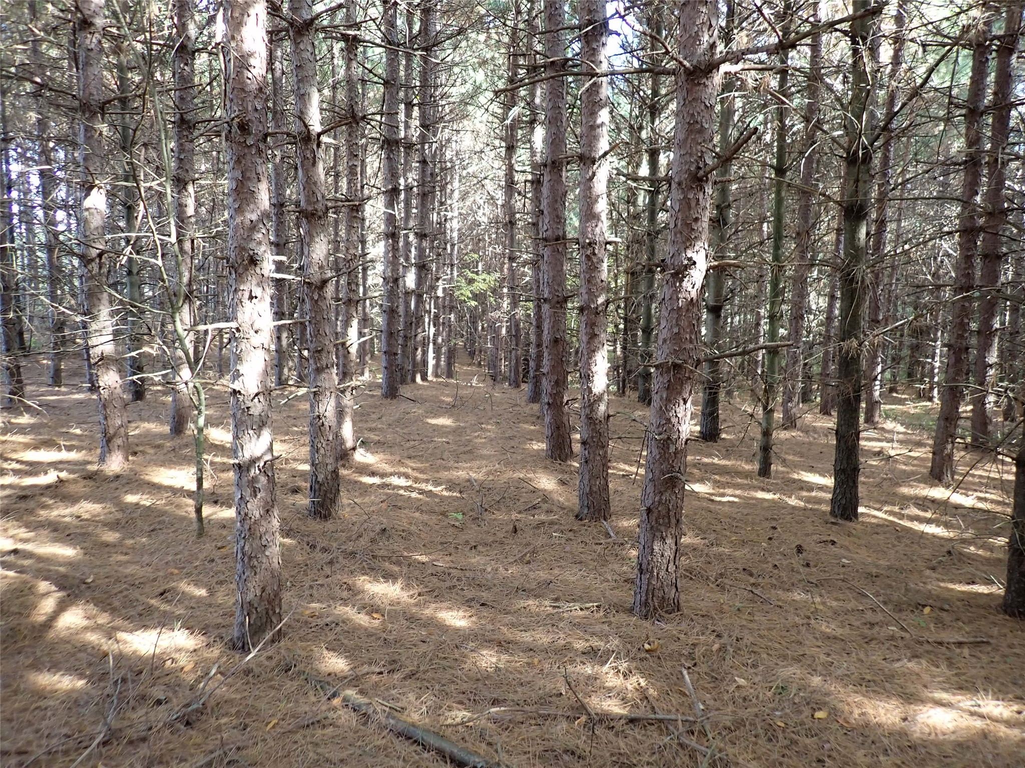 Property Photo #8
