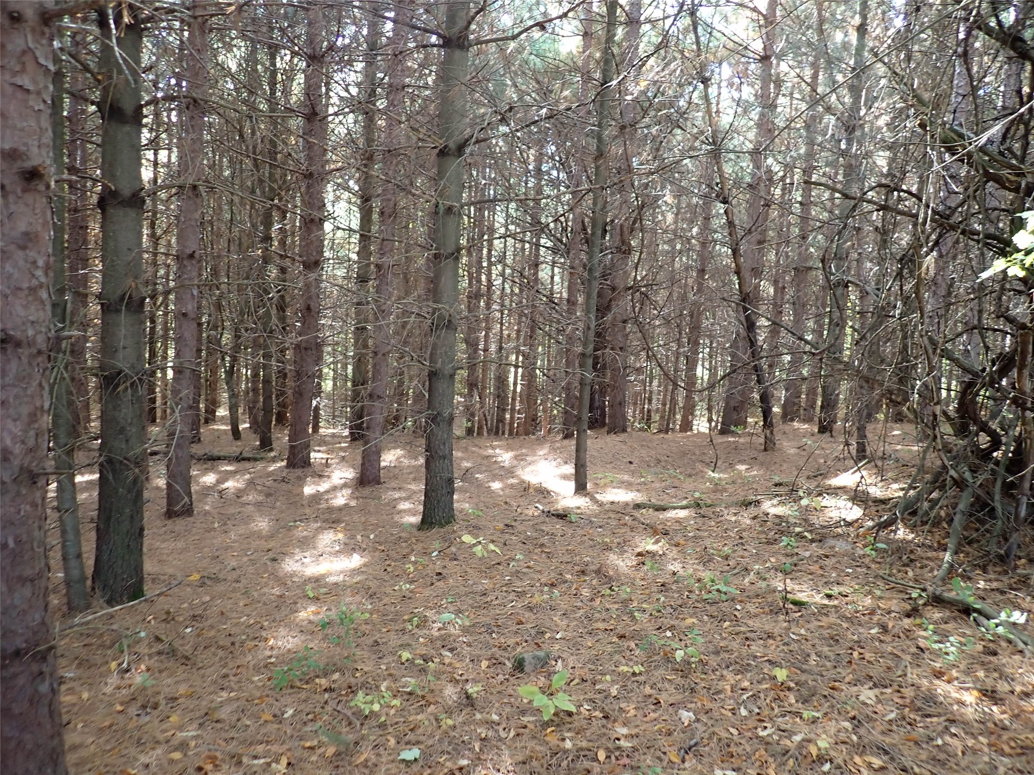 Property Photo #9