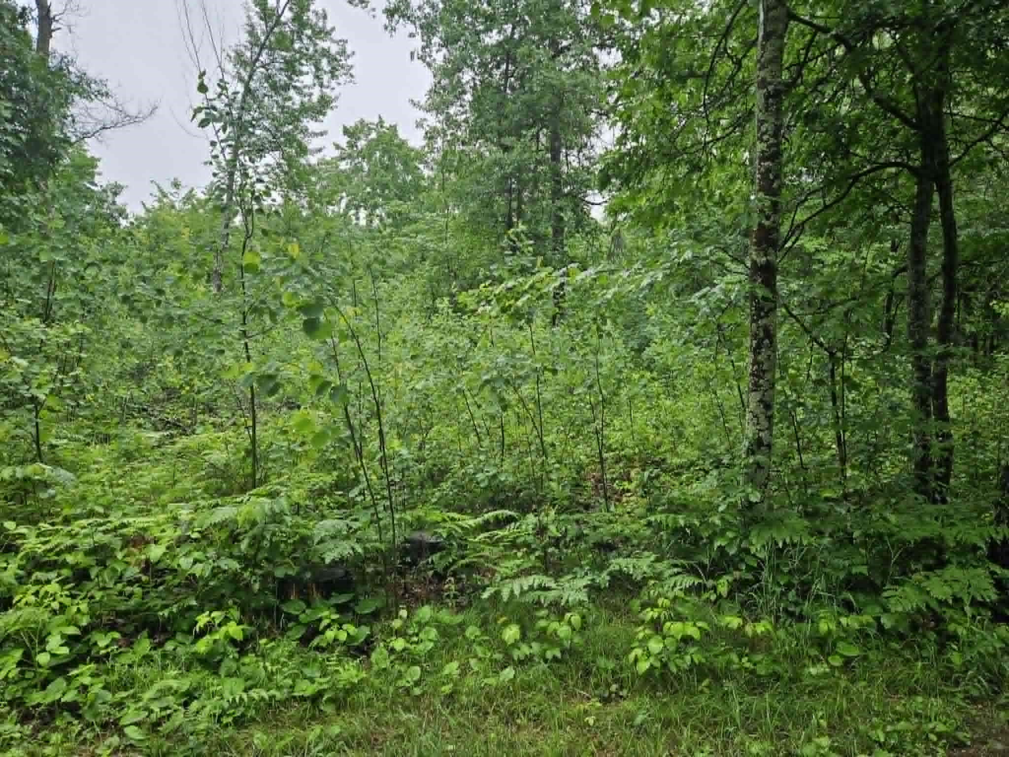 Spooner Land Real Estate