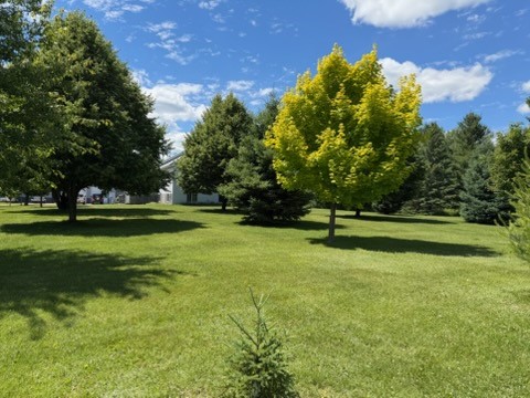 Photo 37