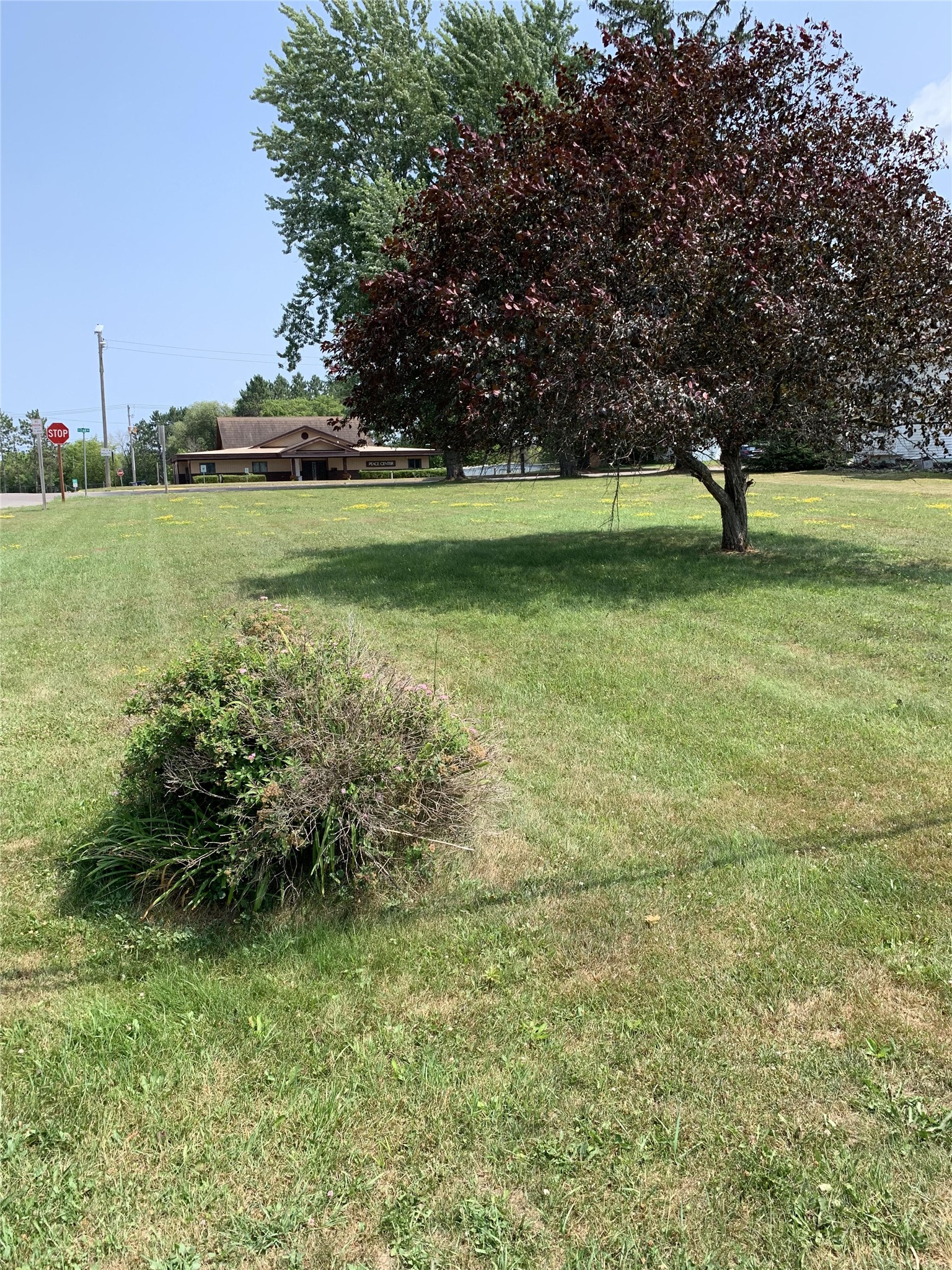 Park Falls Land Real Estate