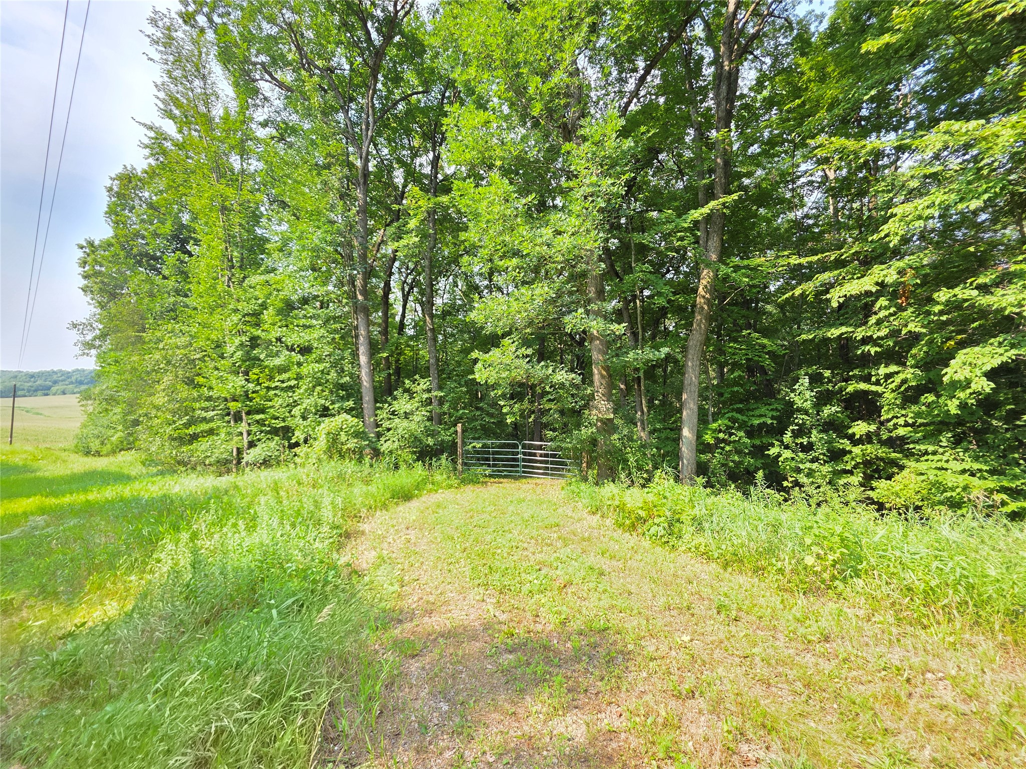 Colfax Land Real Estate