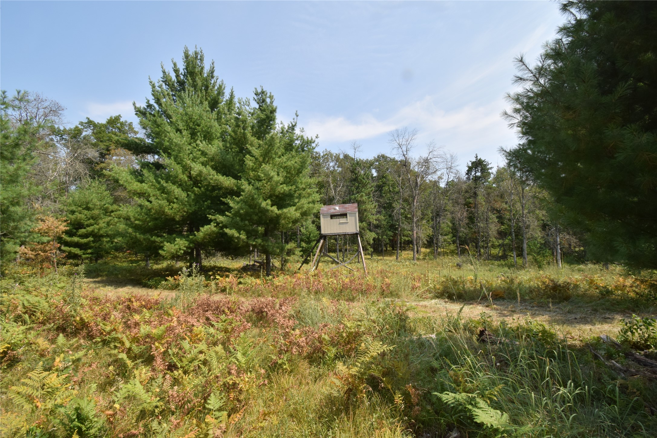 Danbury - Land Real Estate