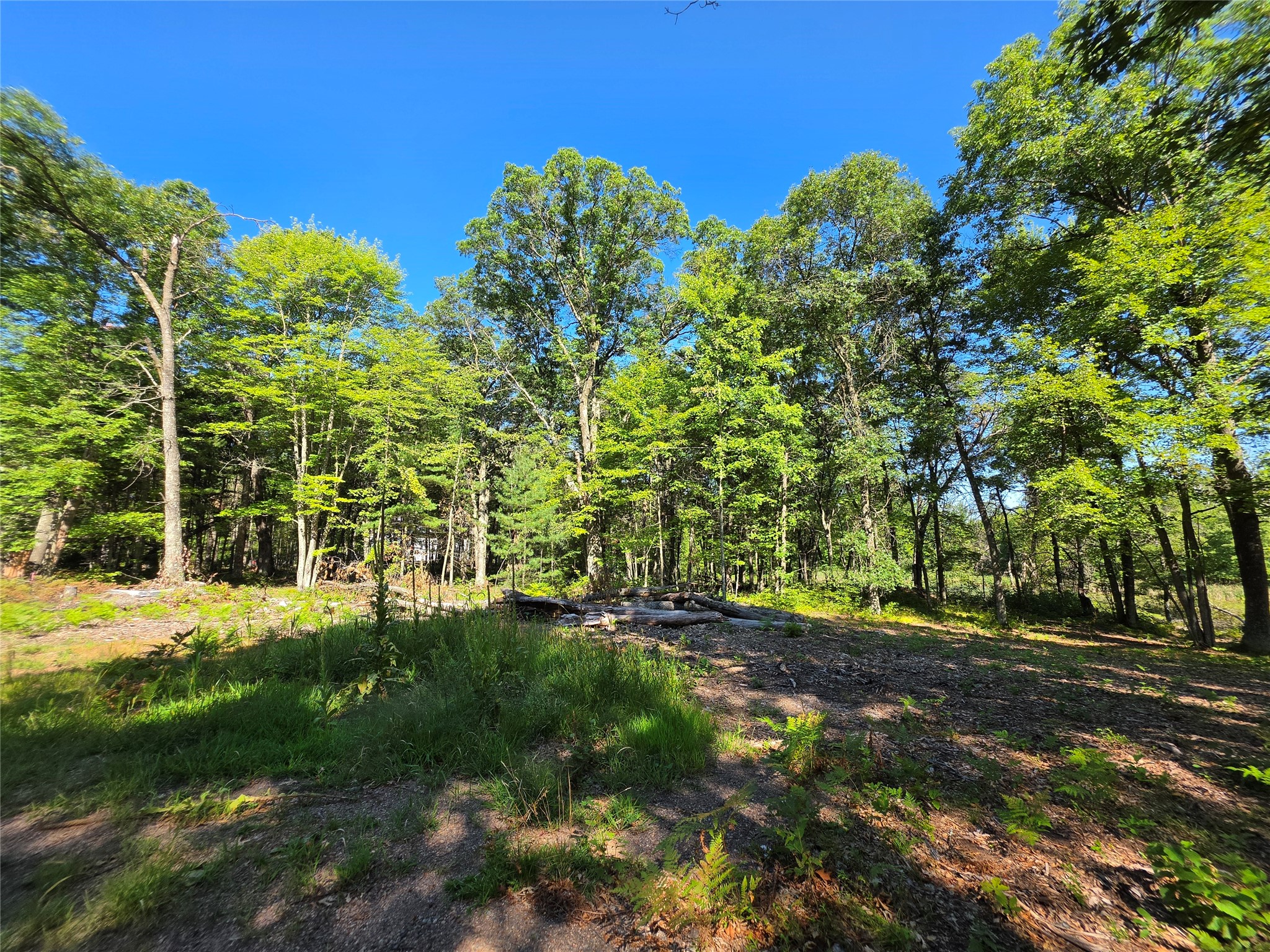 Holcombe - Land photo 5 of 11