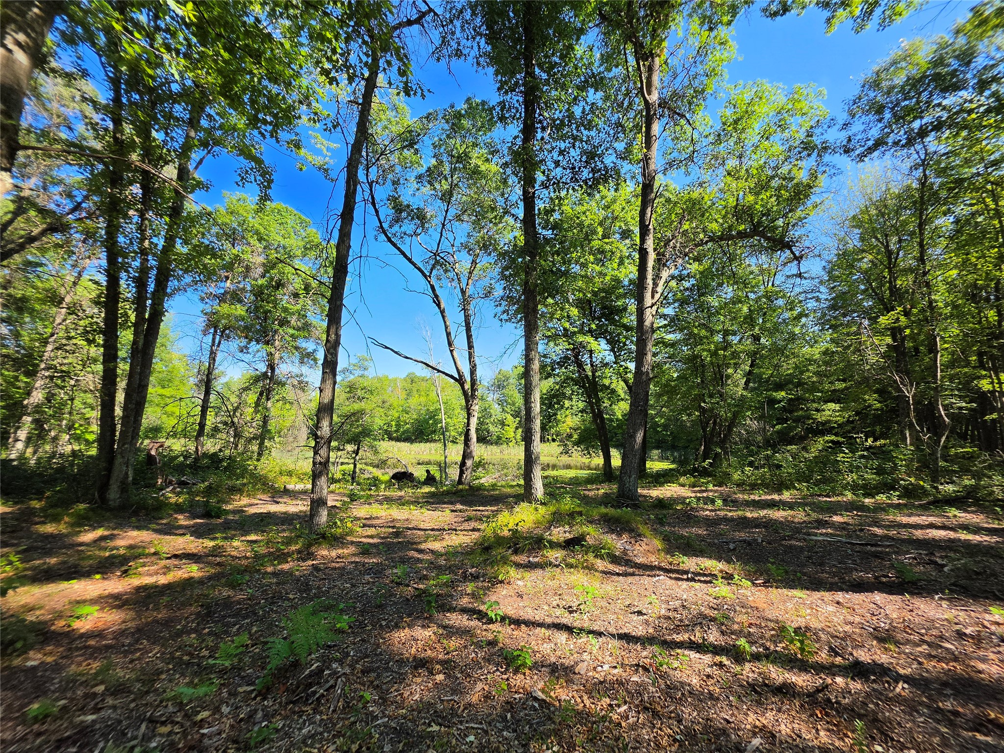 Holcombe - Land photo 6 of 11