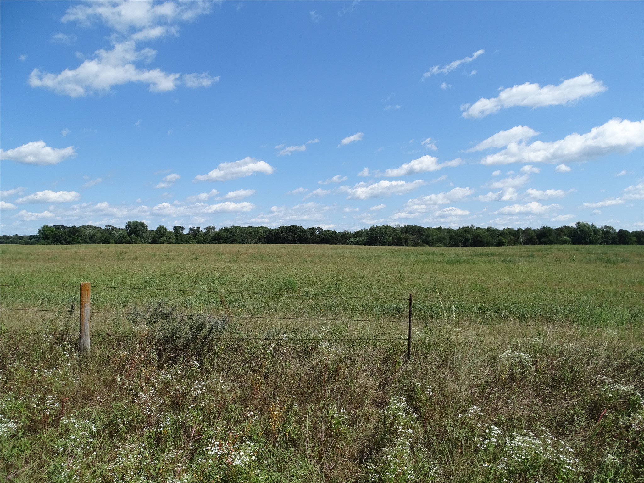Mondovi - Land photo 4 of 5