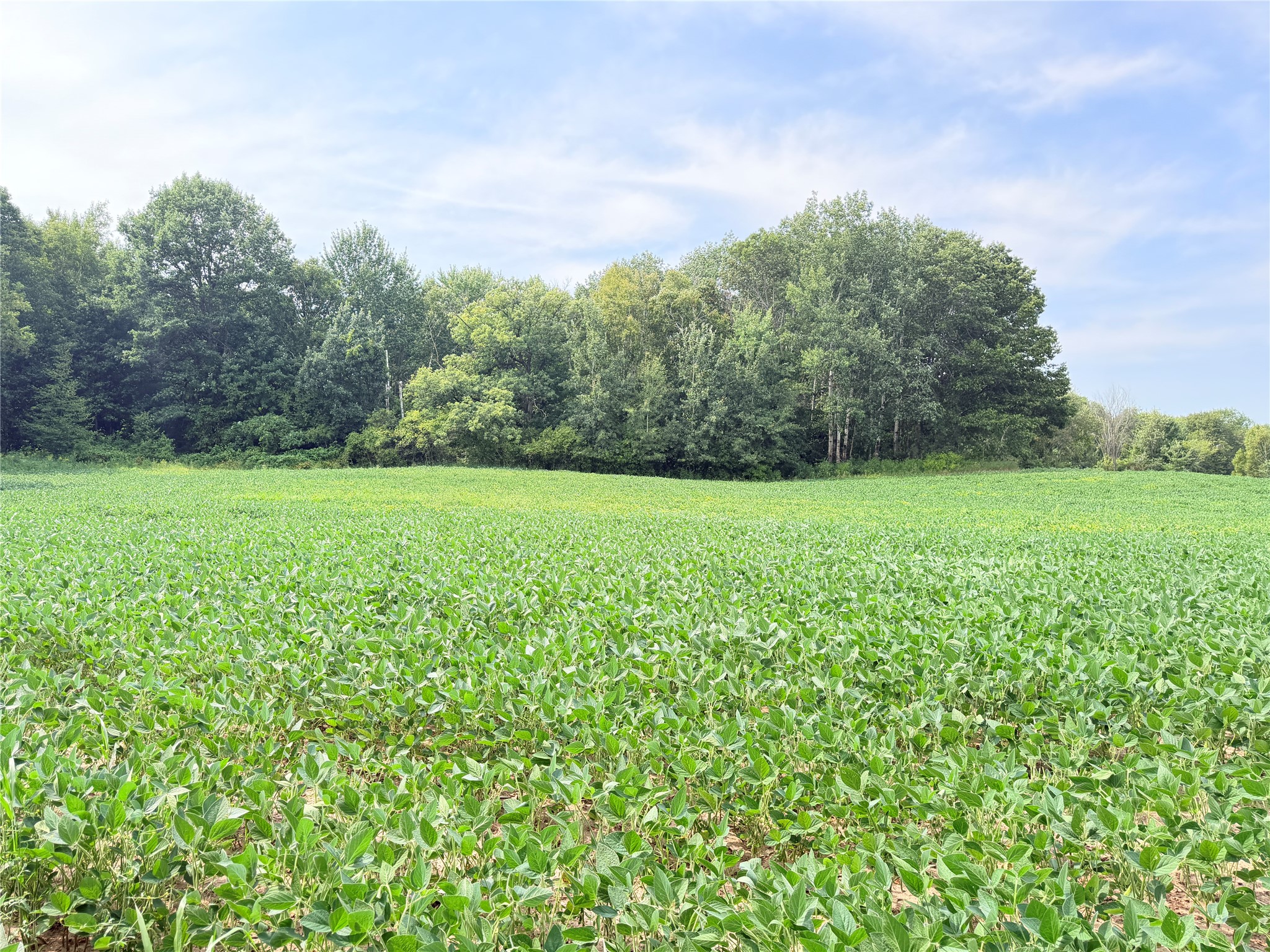 St Croix Falls Land Real Estate