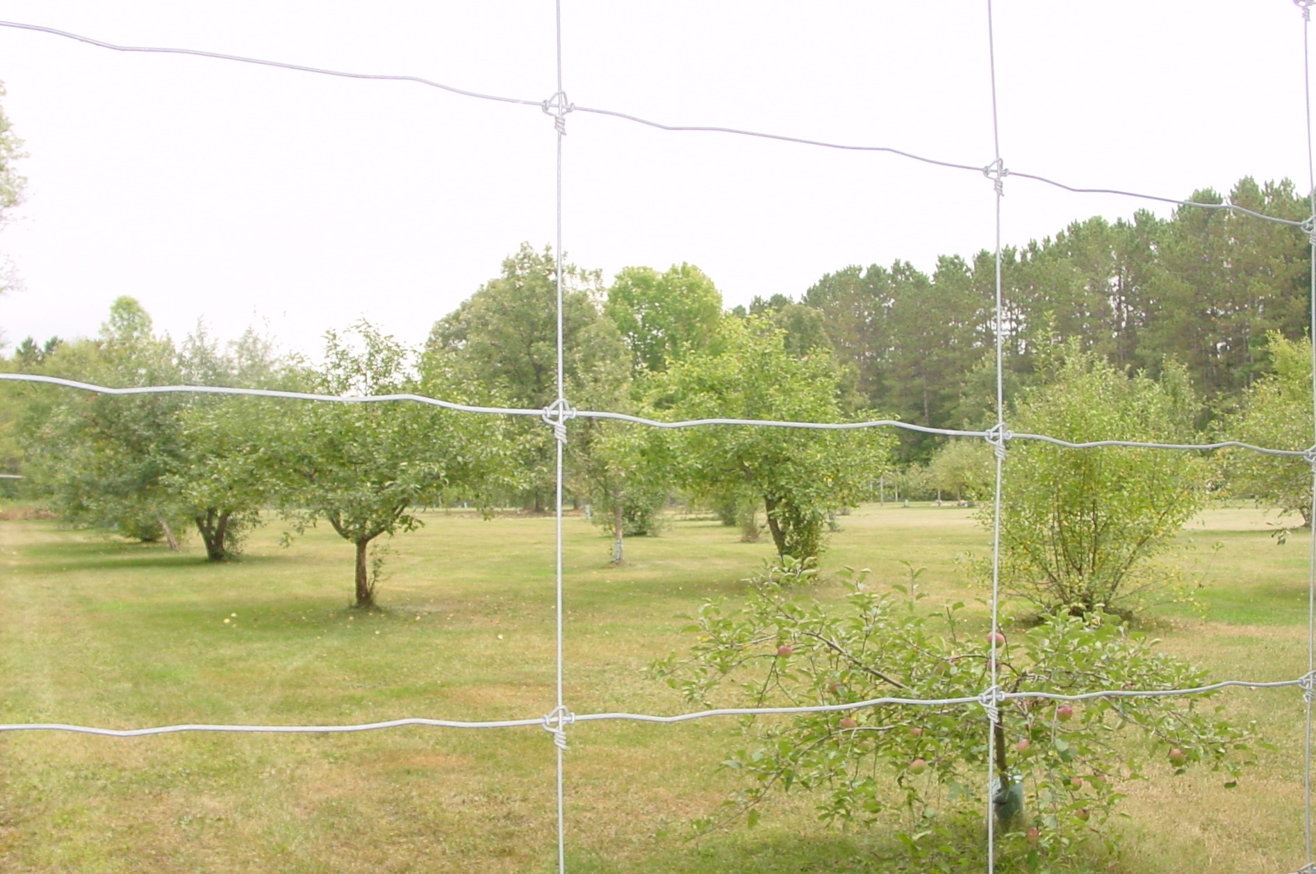 Thumbnail 47