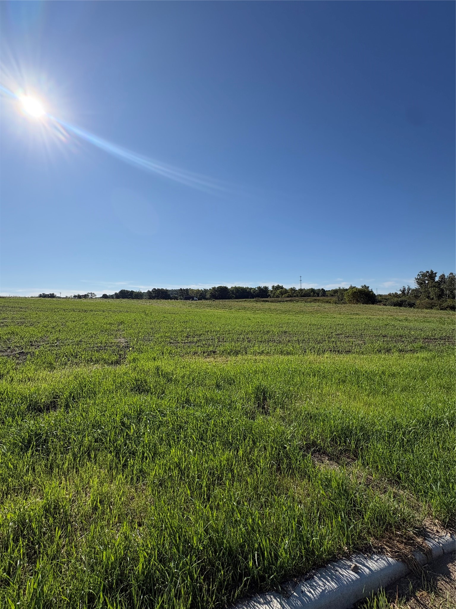 Osseo Land Real Estate