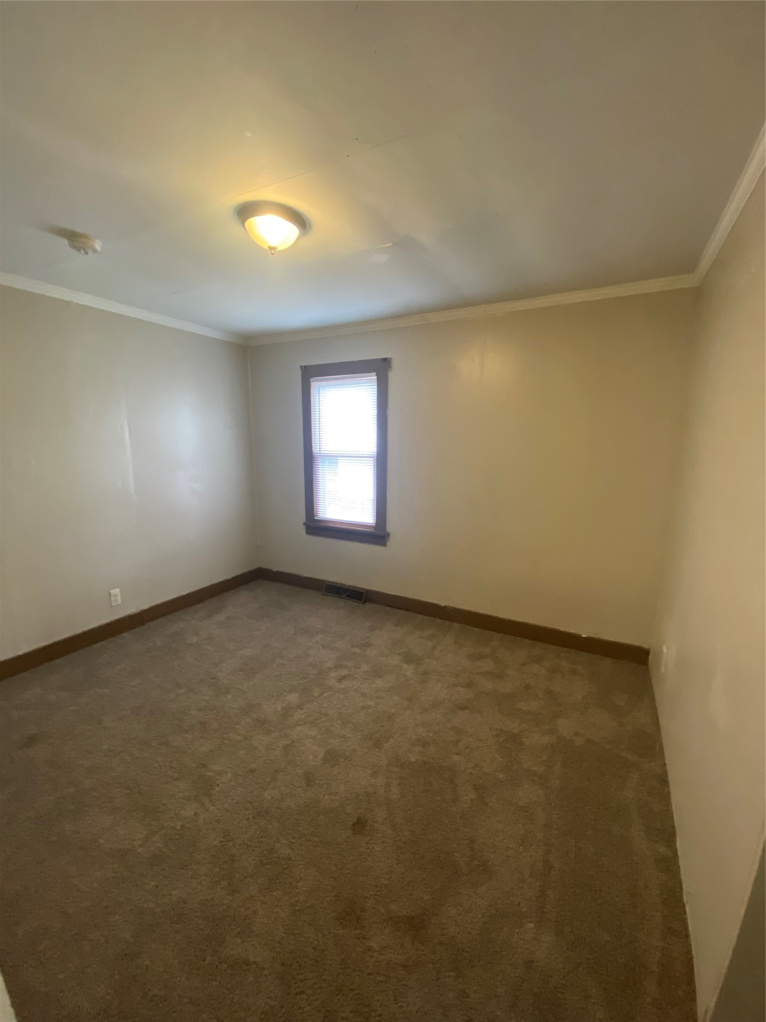 Property Photo #14