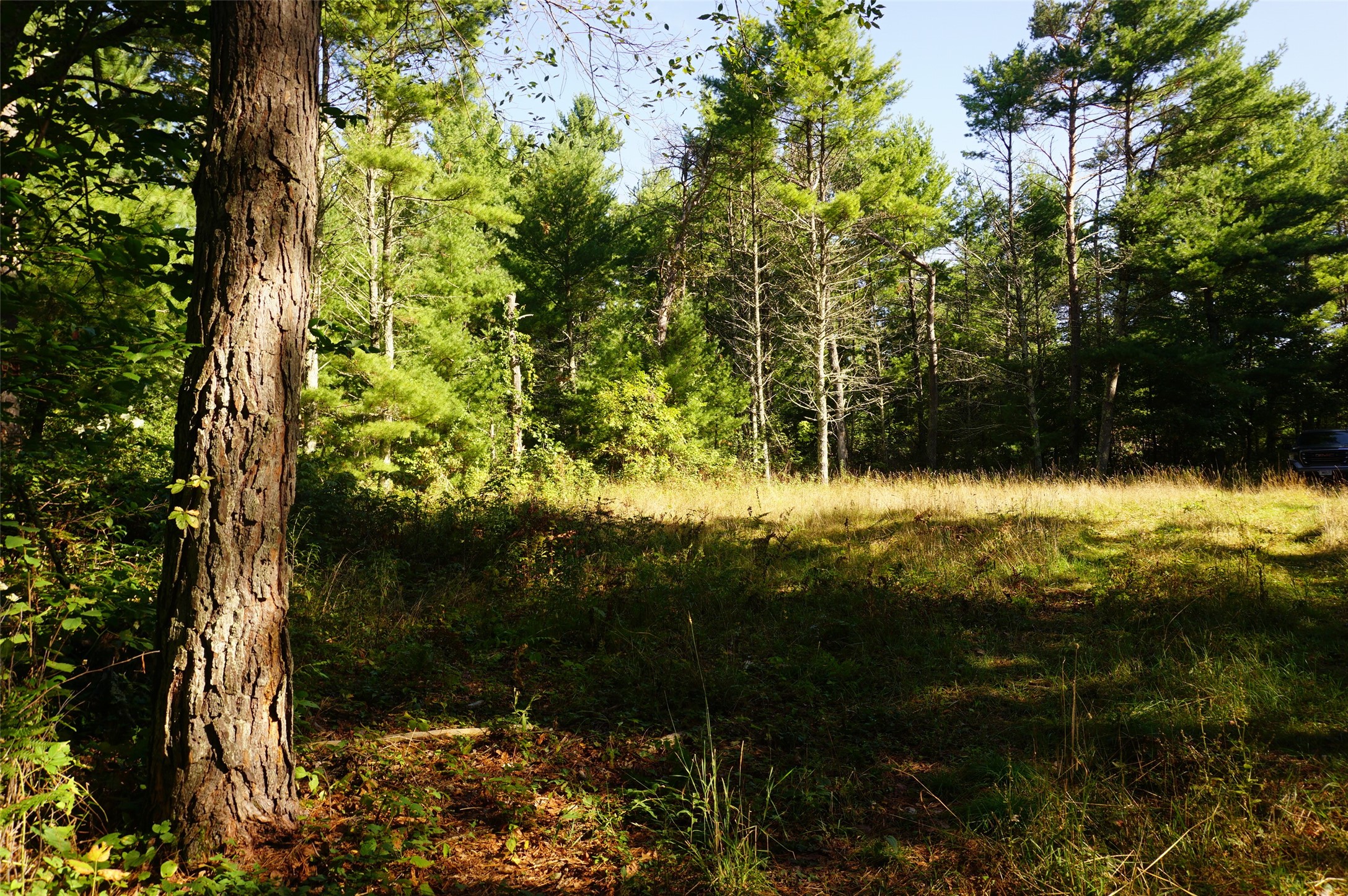 Photo of N9105 Flood -- Lot 5 Road