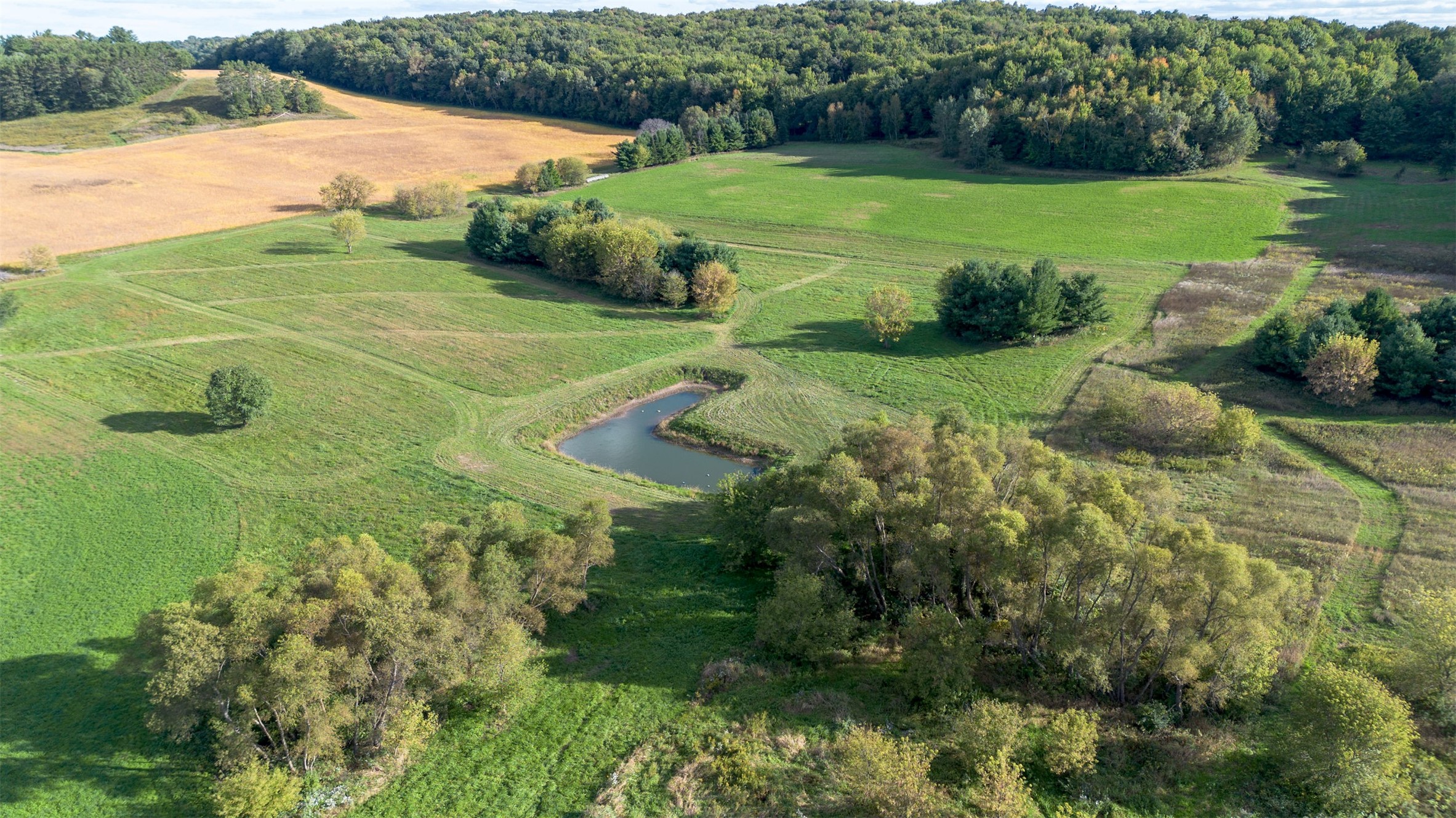 Photo of XXX 420th Avenue, Menomonie, WI