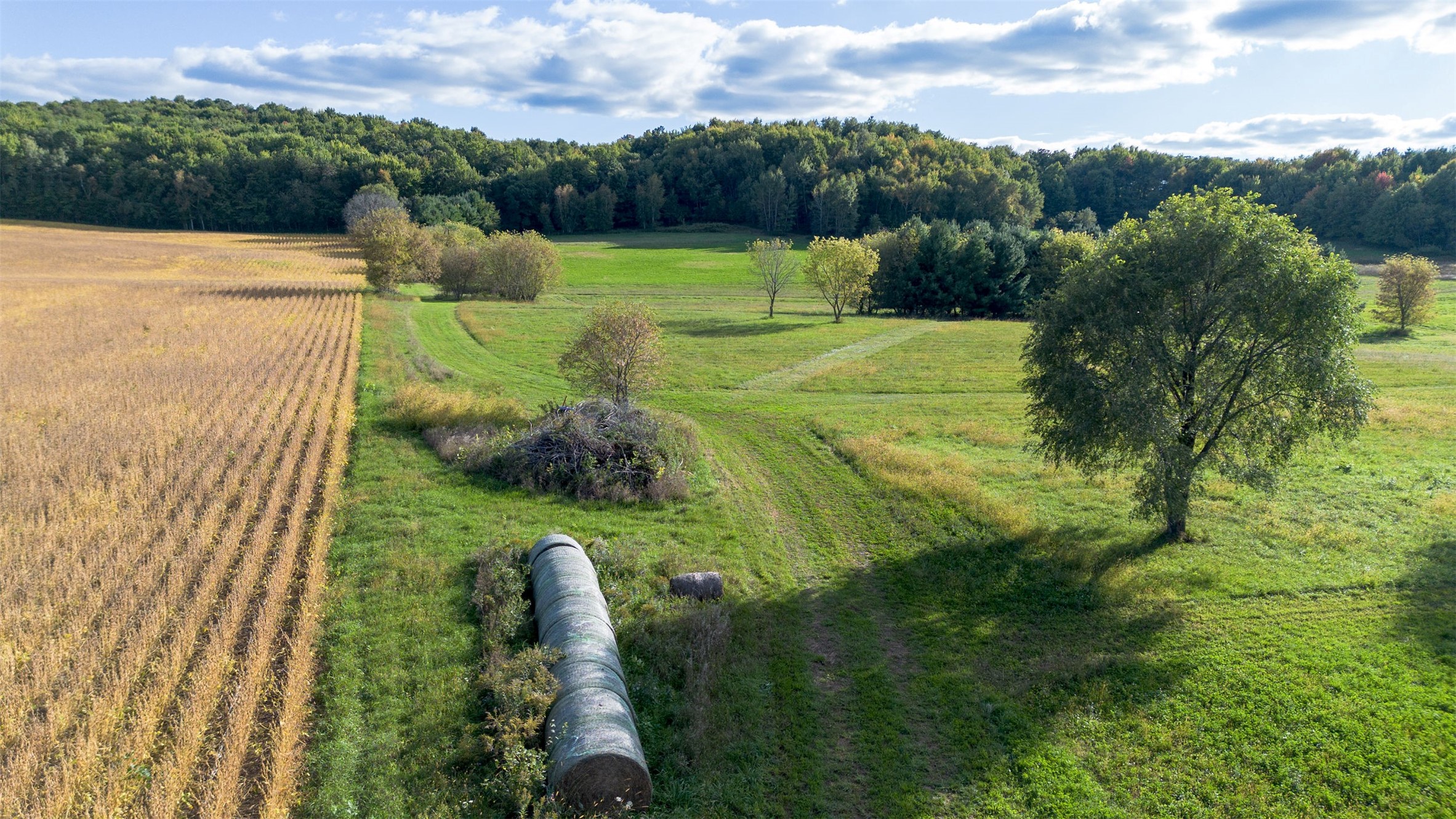 Property Photo #11