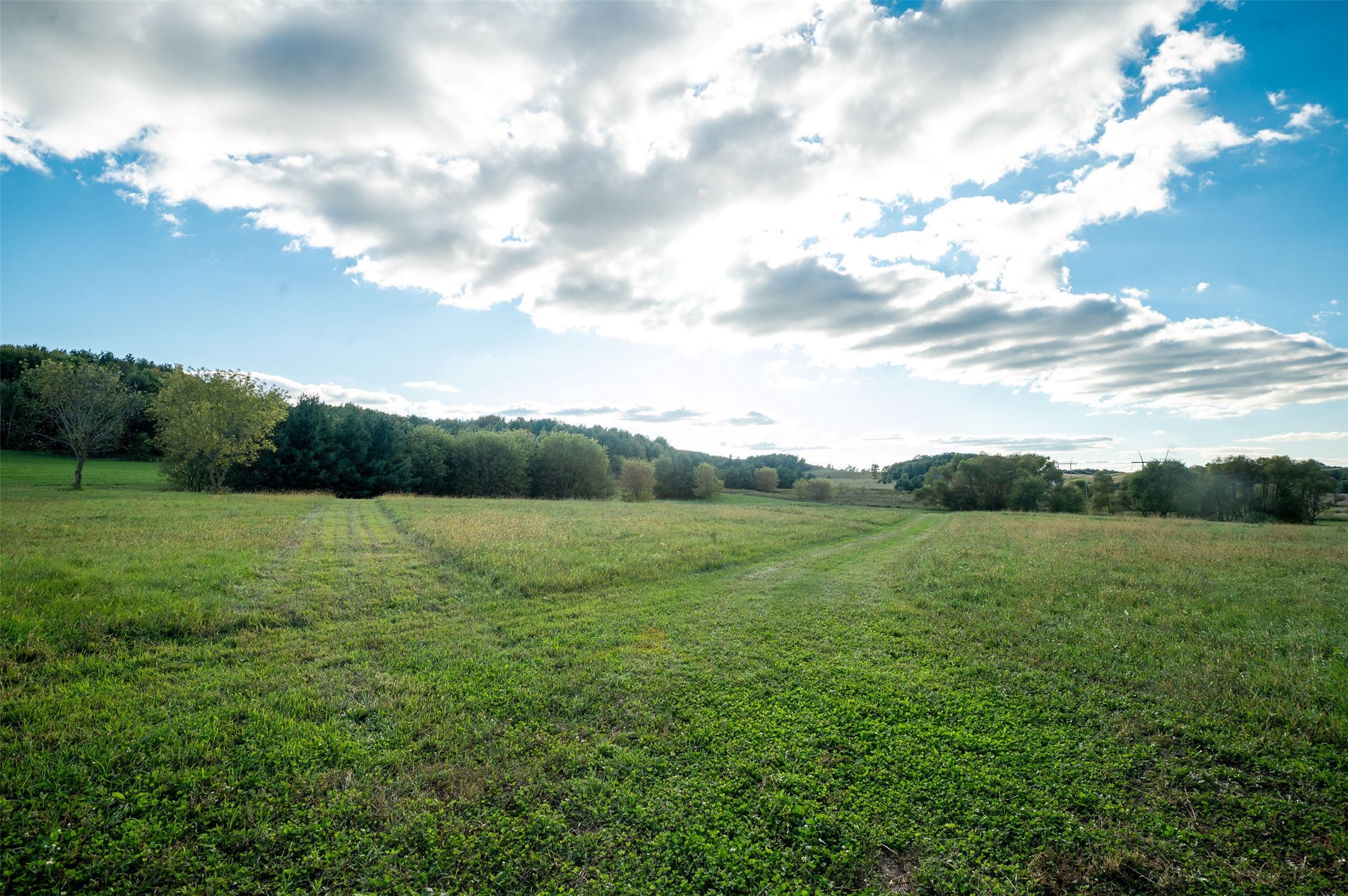 Property Photo #12