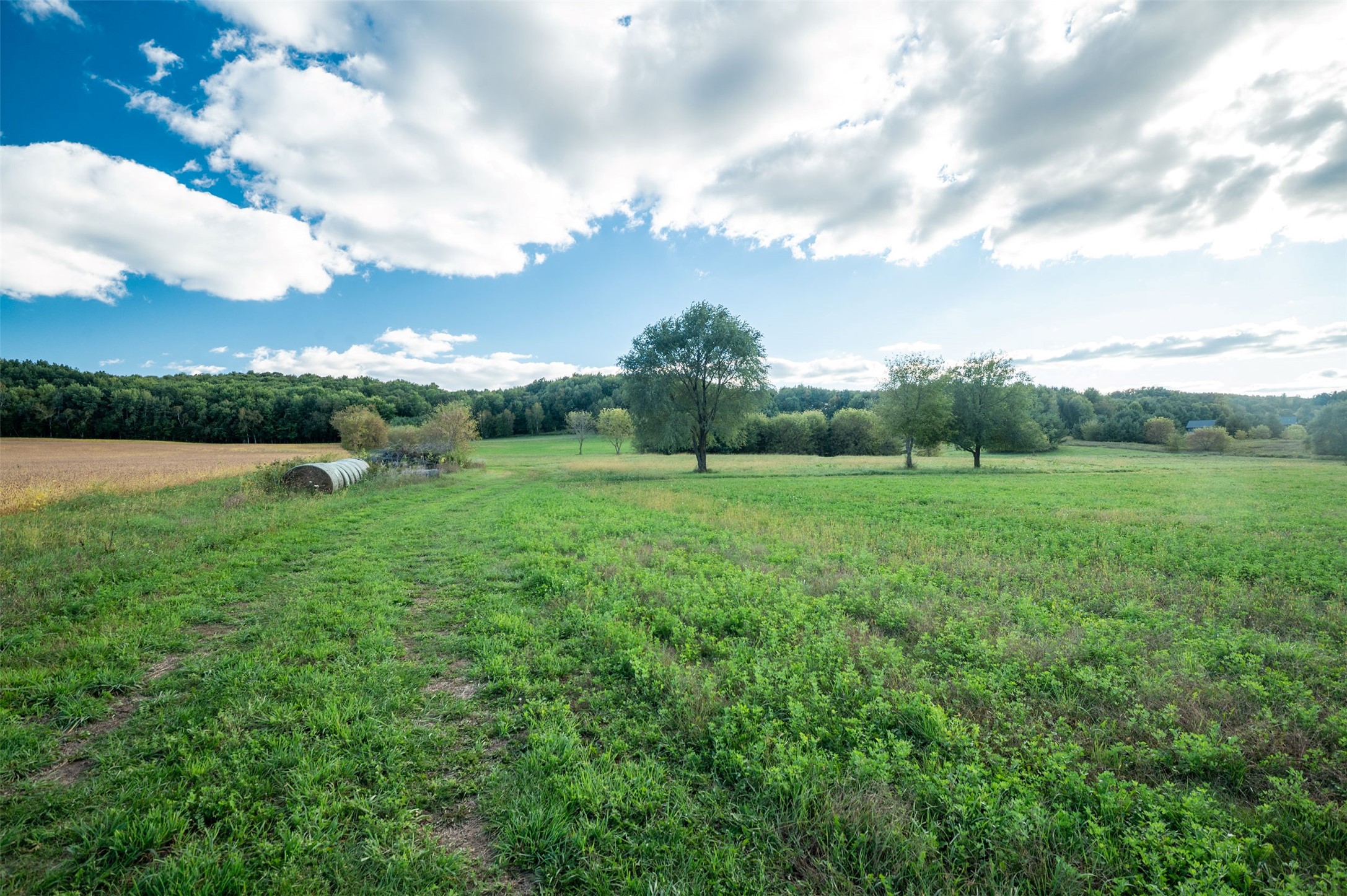 Property Photo #13