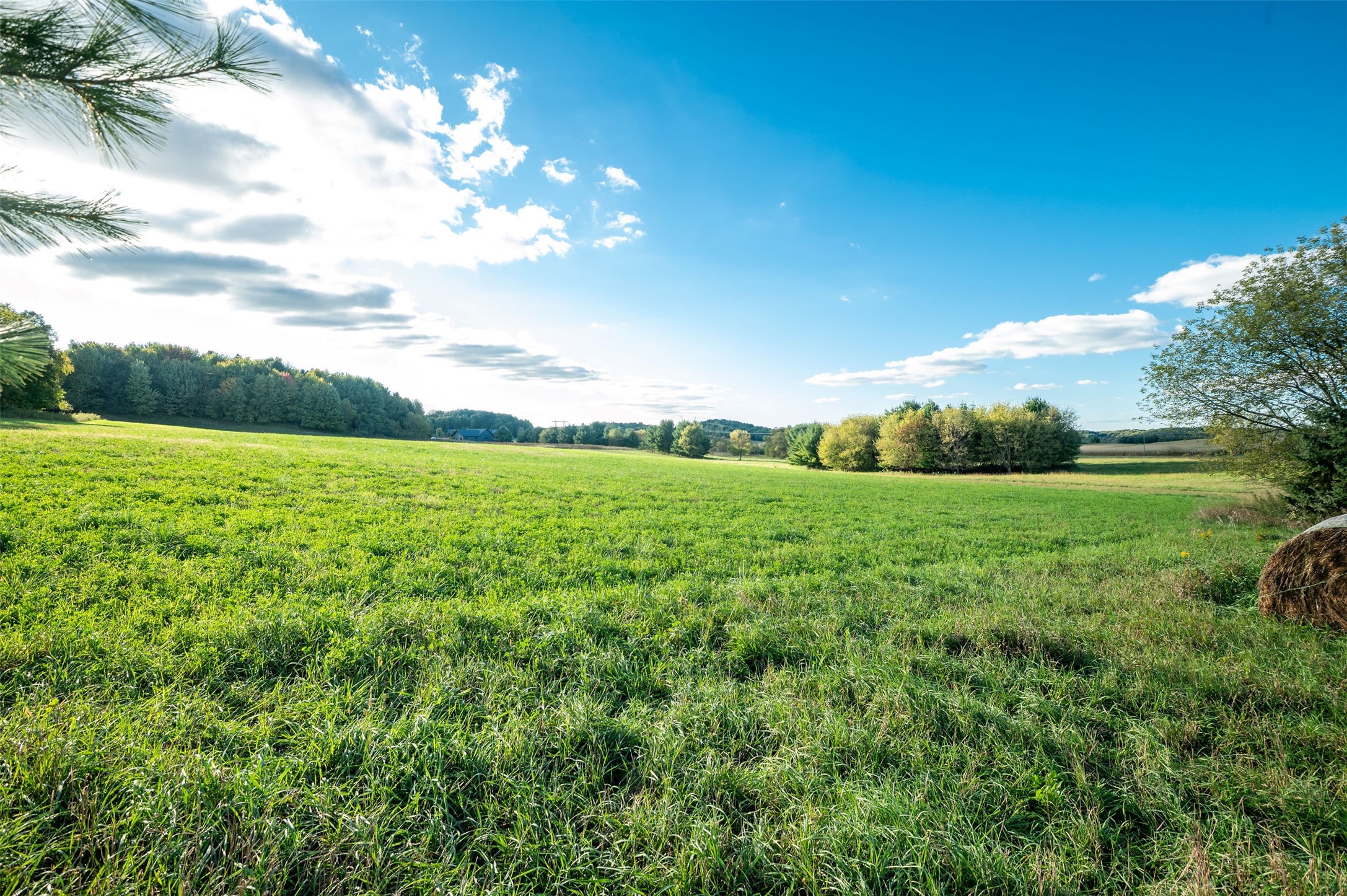 Property Photo #14