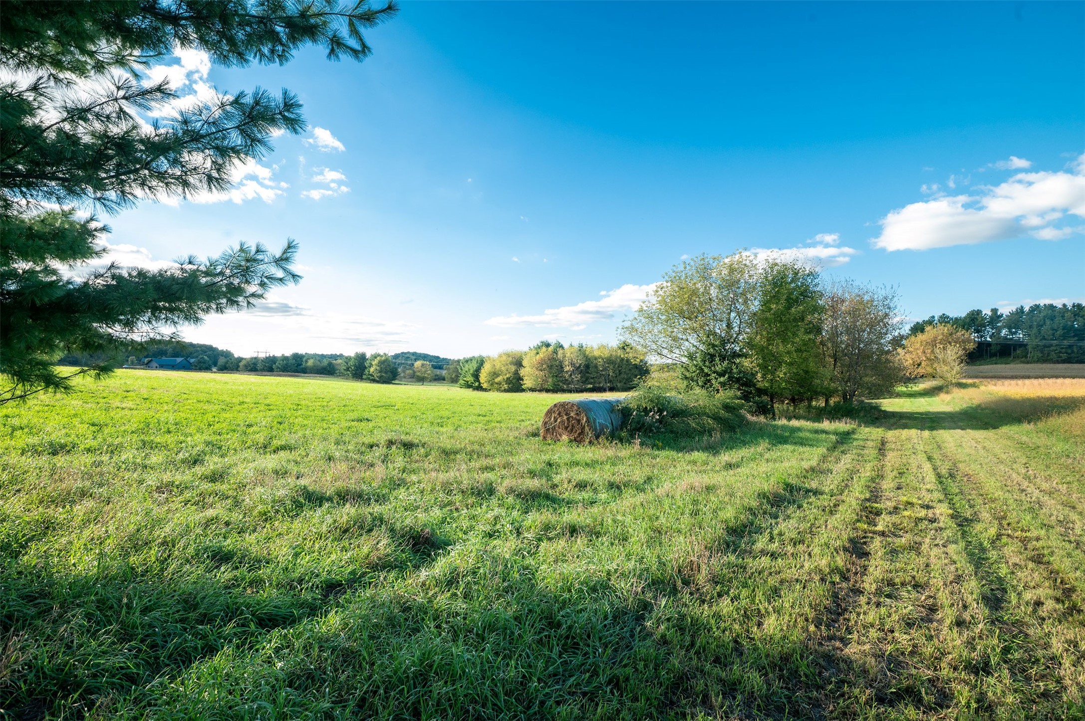 Property Photo #15