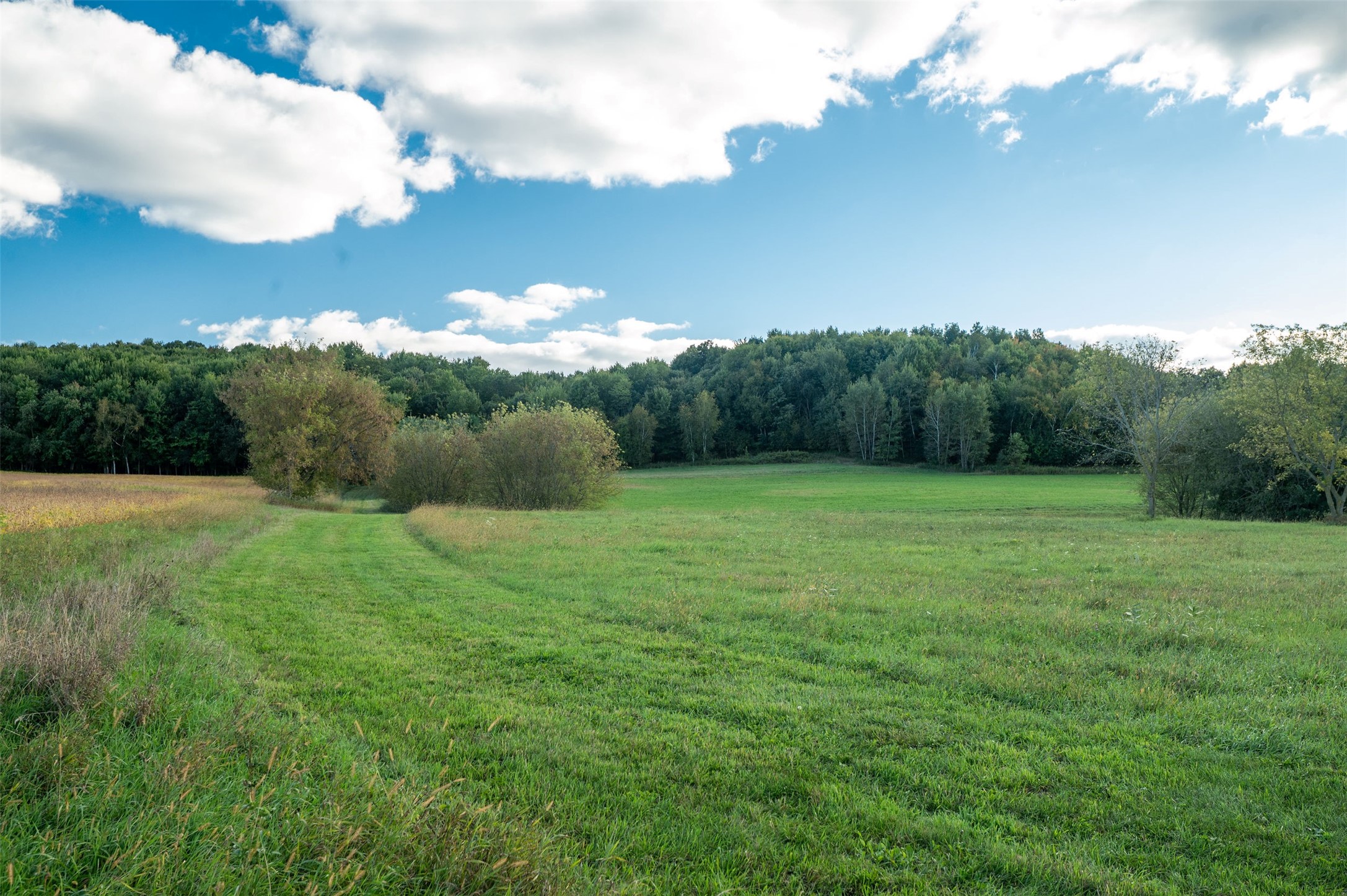 Property Photo #16