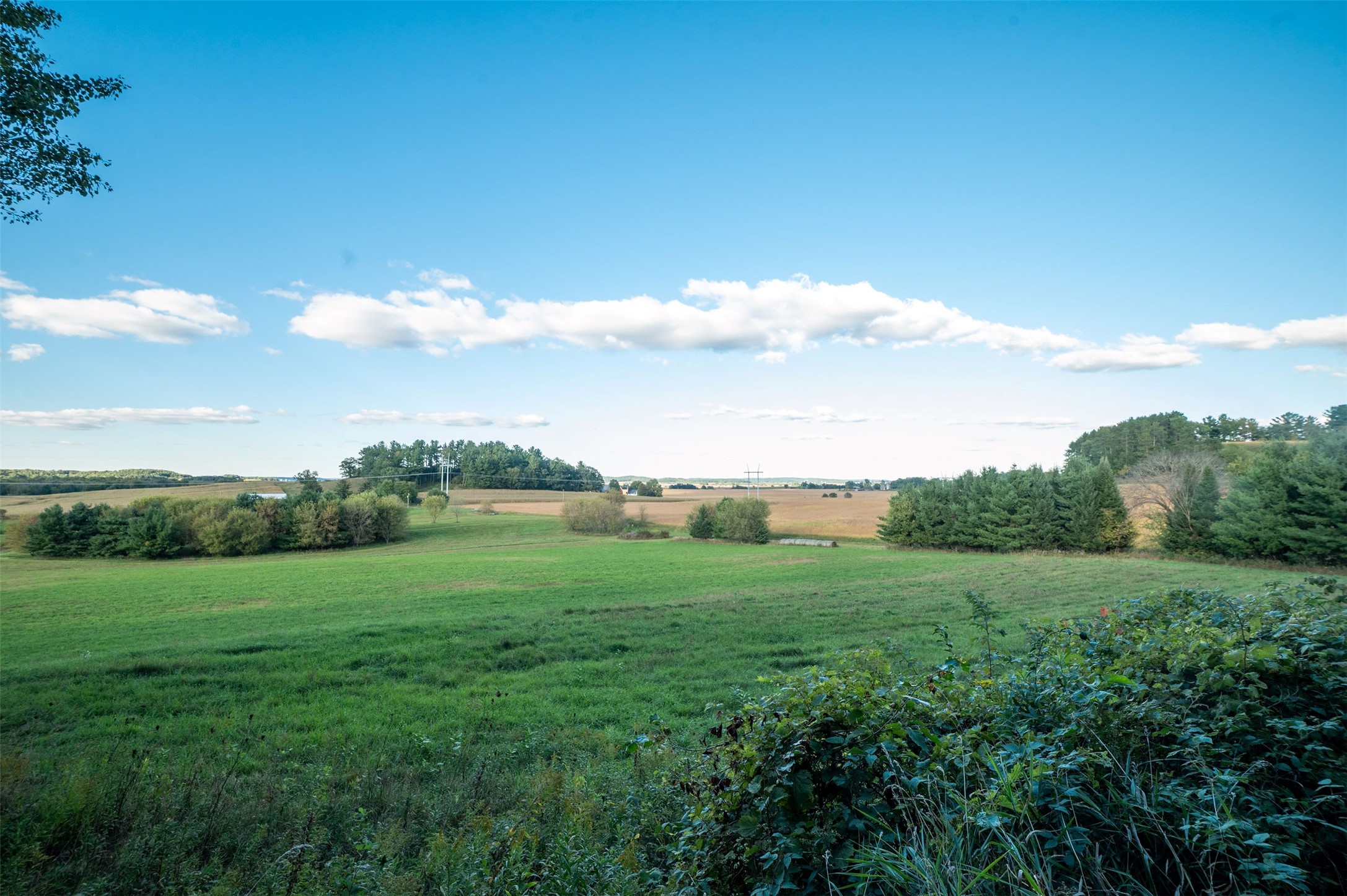 Property Photo #19