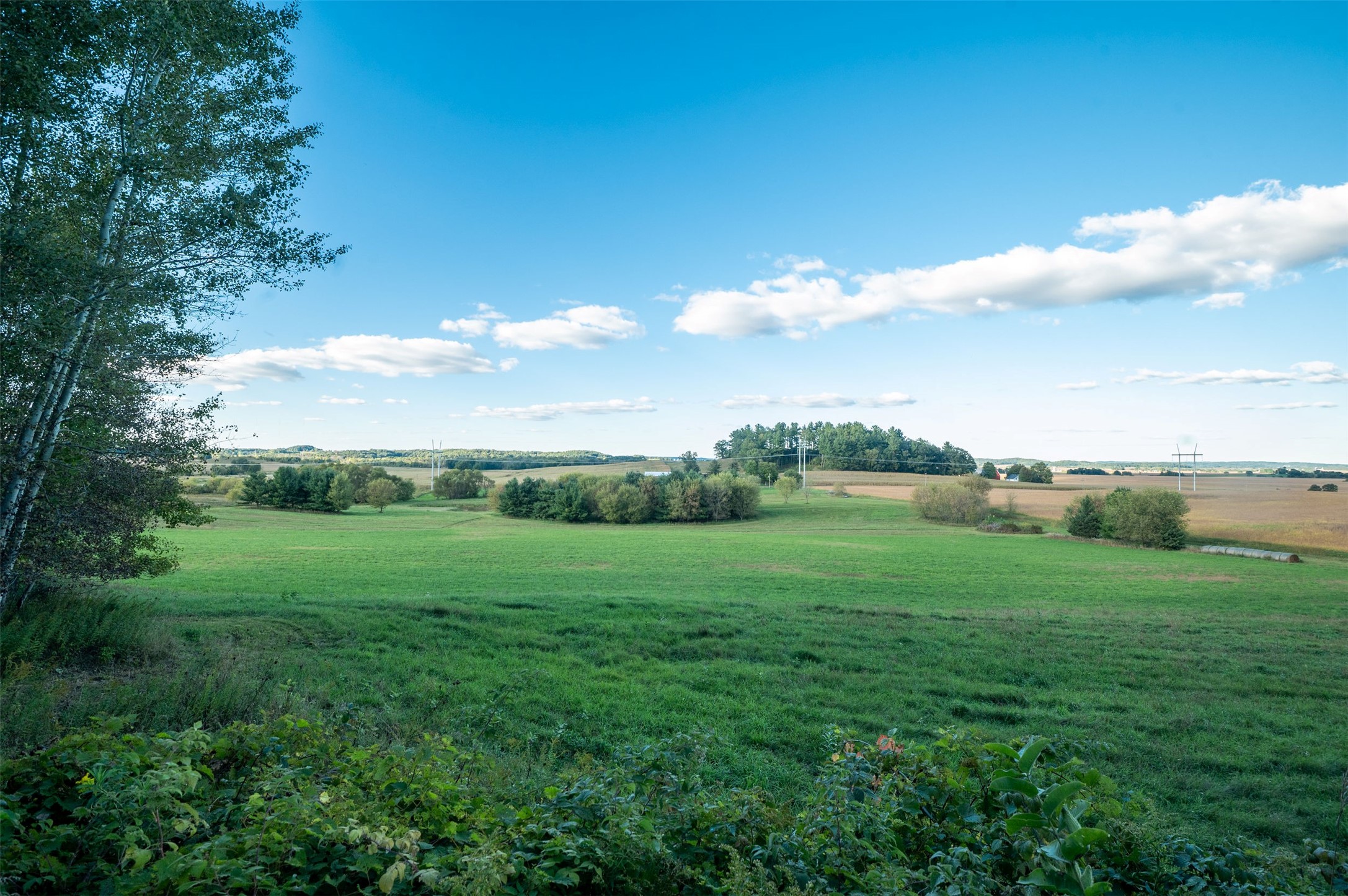 Property Photo #20