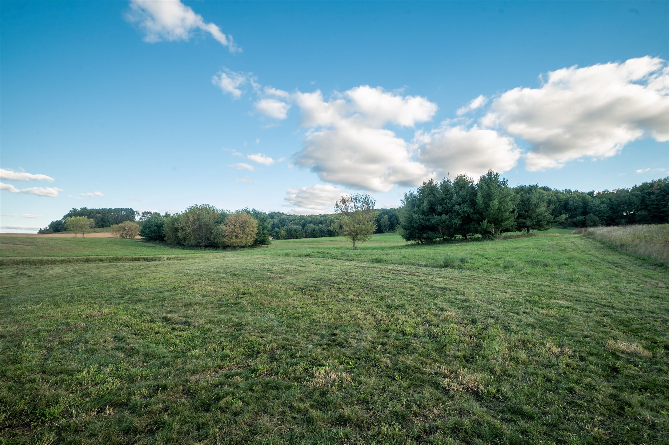 Property Photo #22