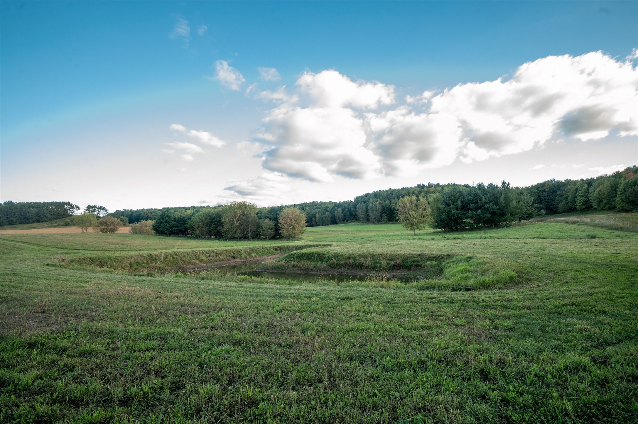 Property Photo #24