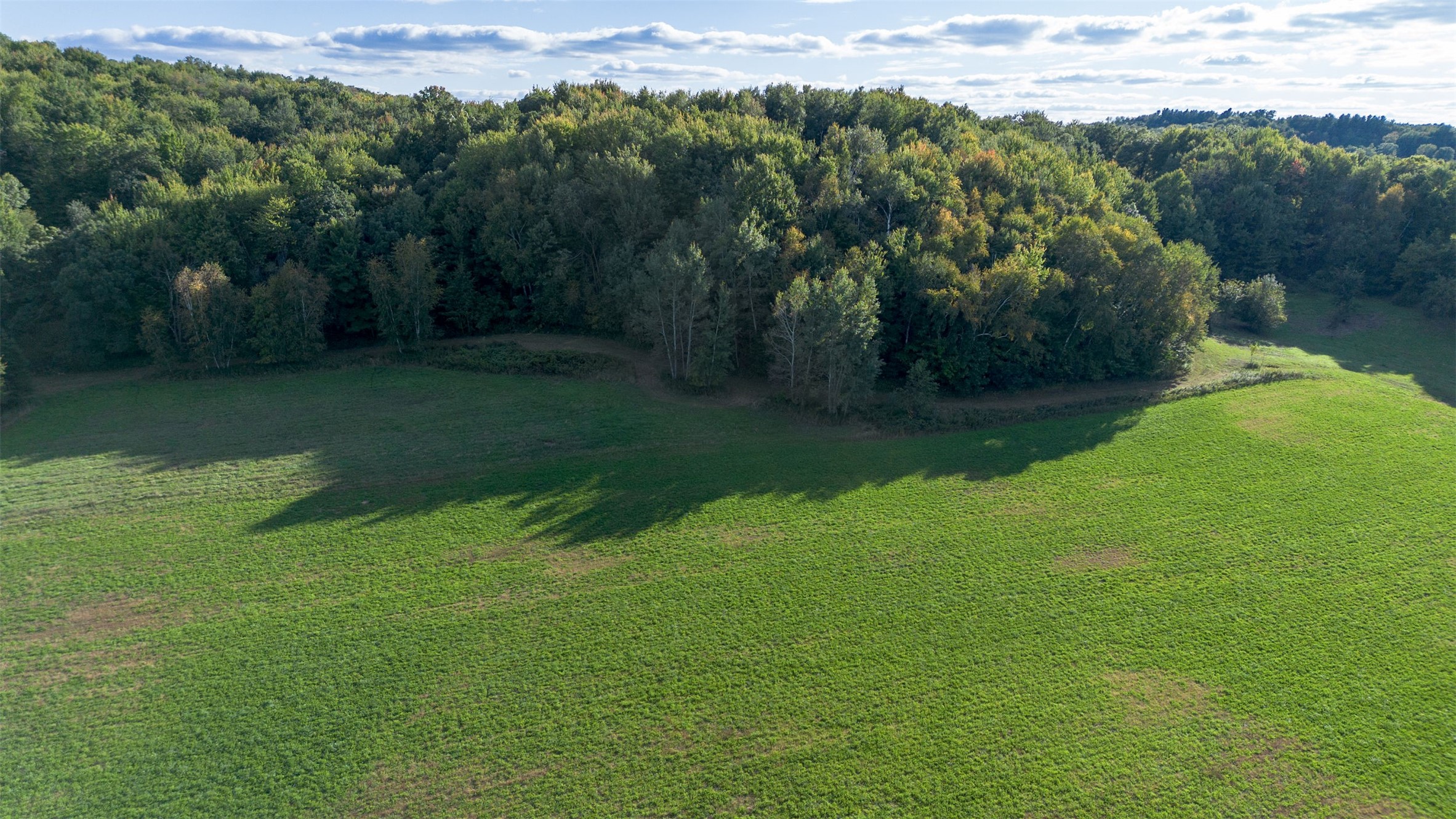 Menomonie - Land photo 3 of 39