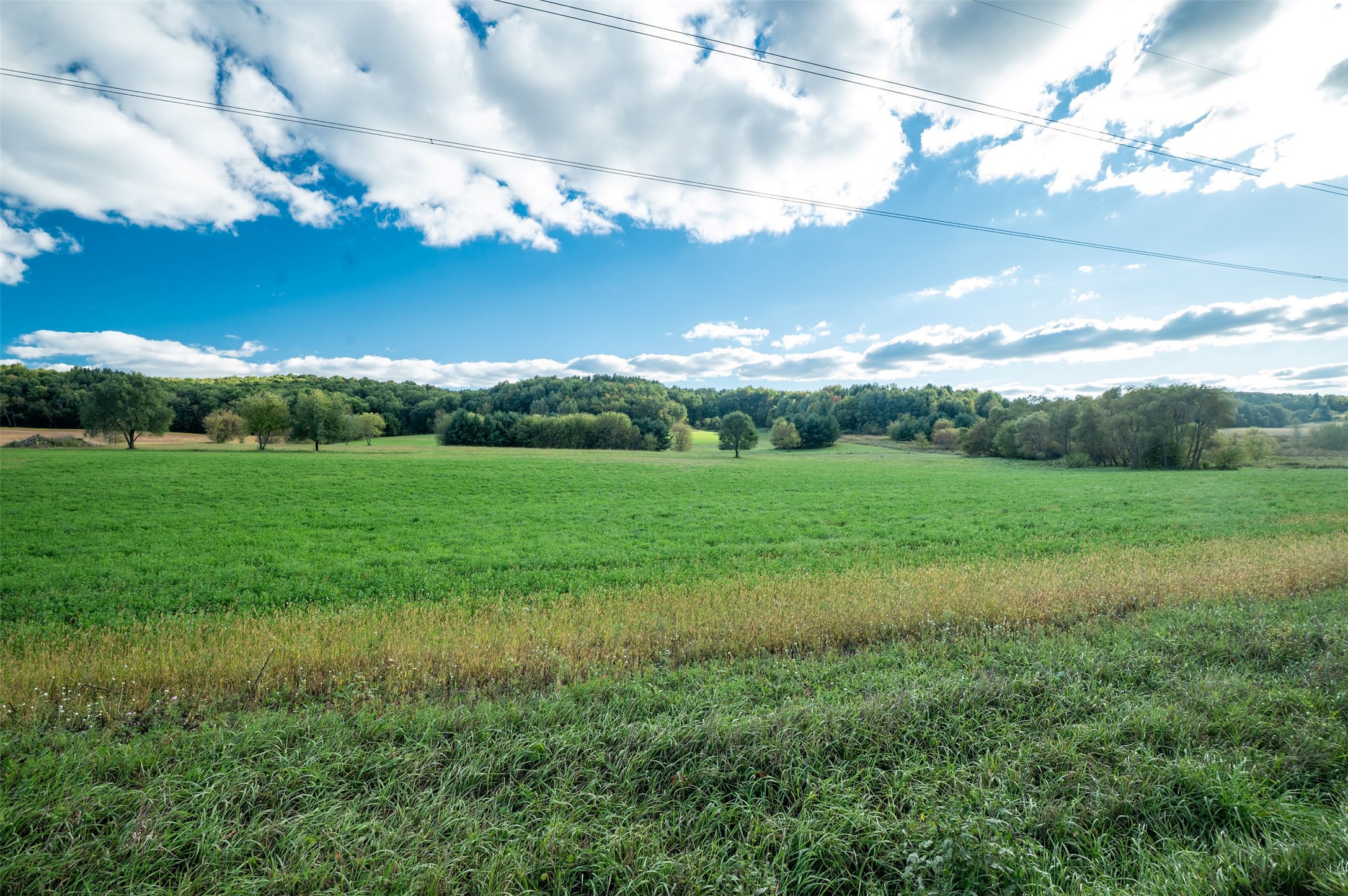 Property Photo #33