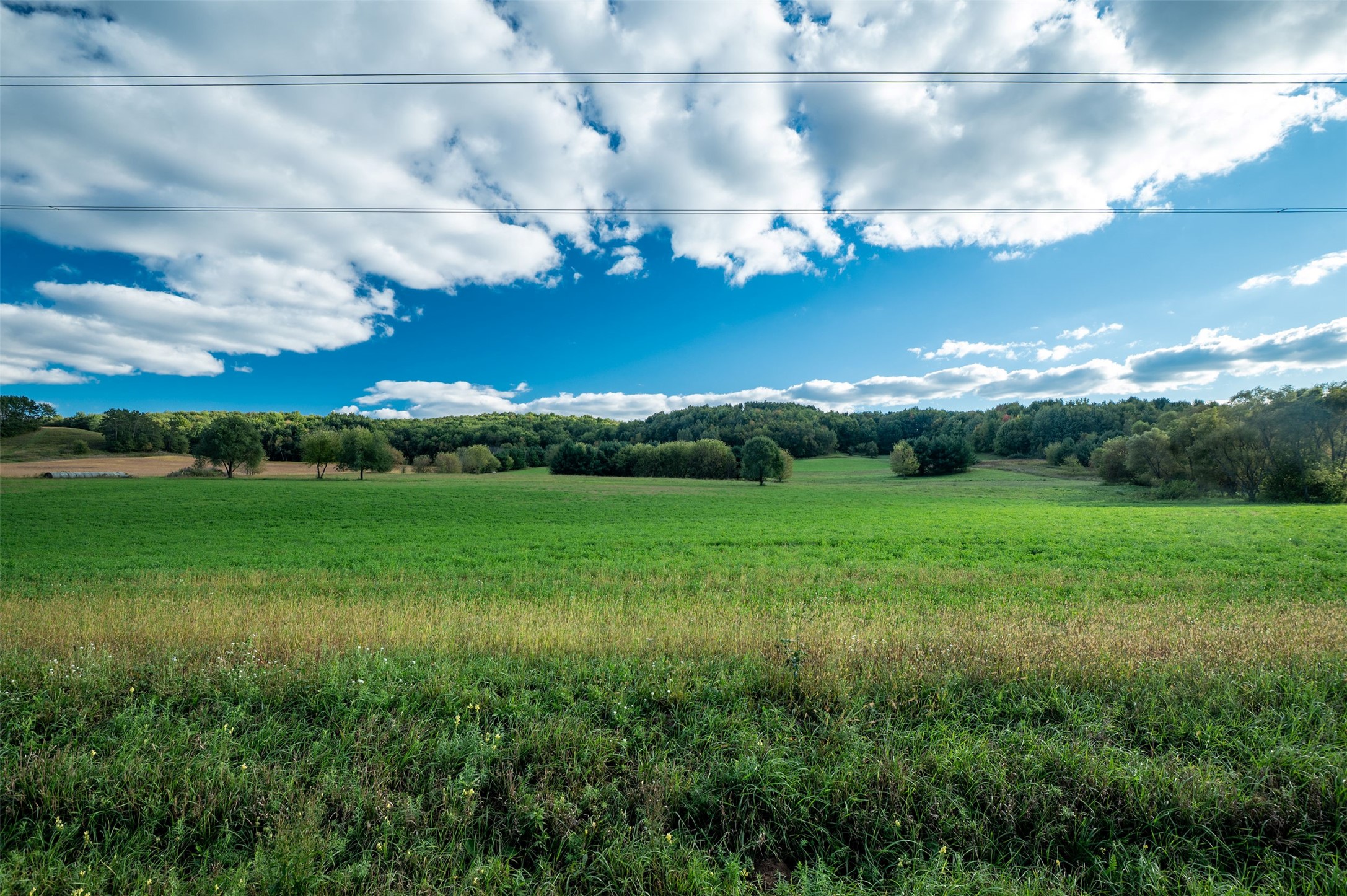 Property Photo #34