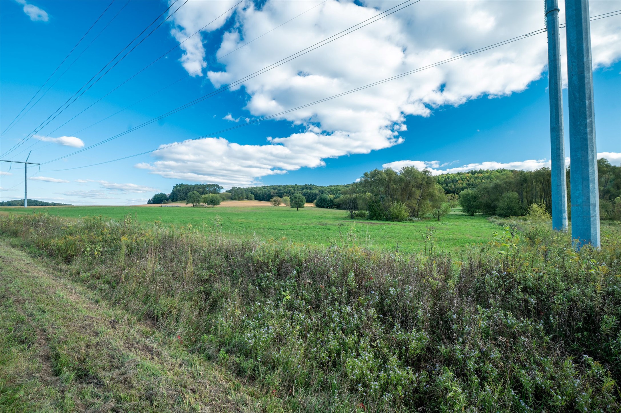 Property Photo #36
