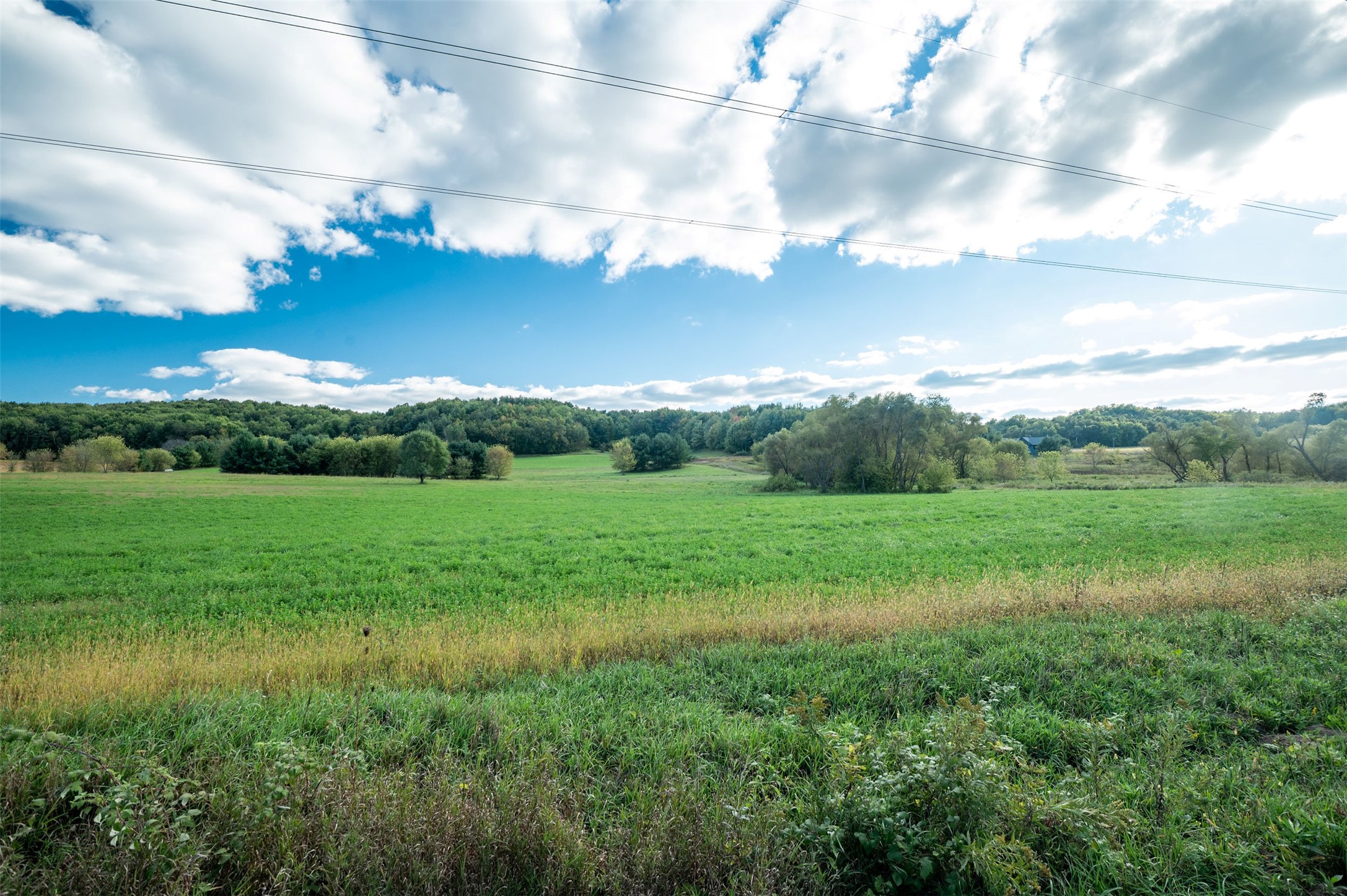Property Photo #37