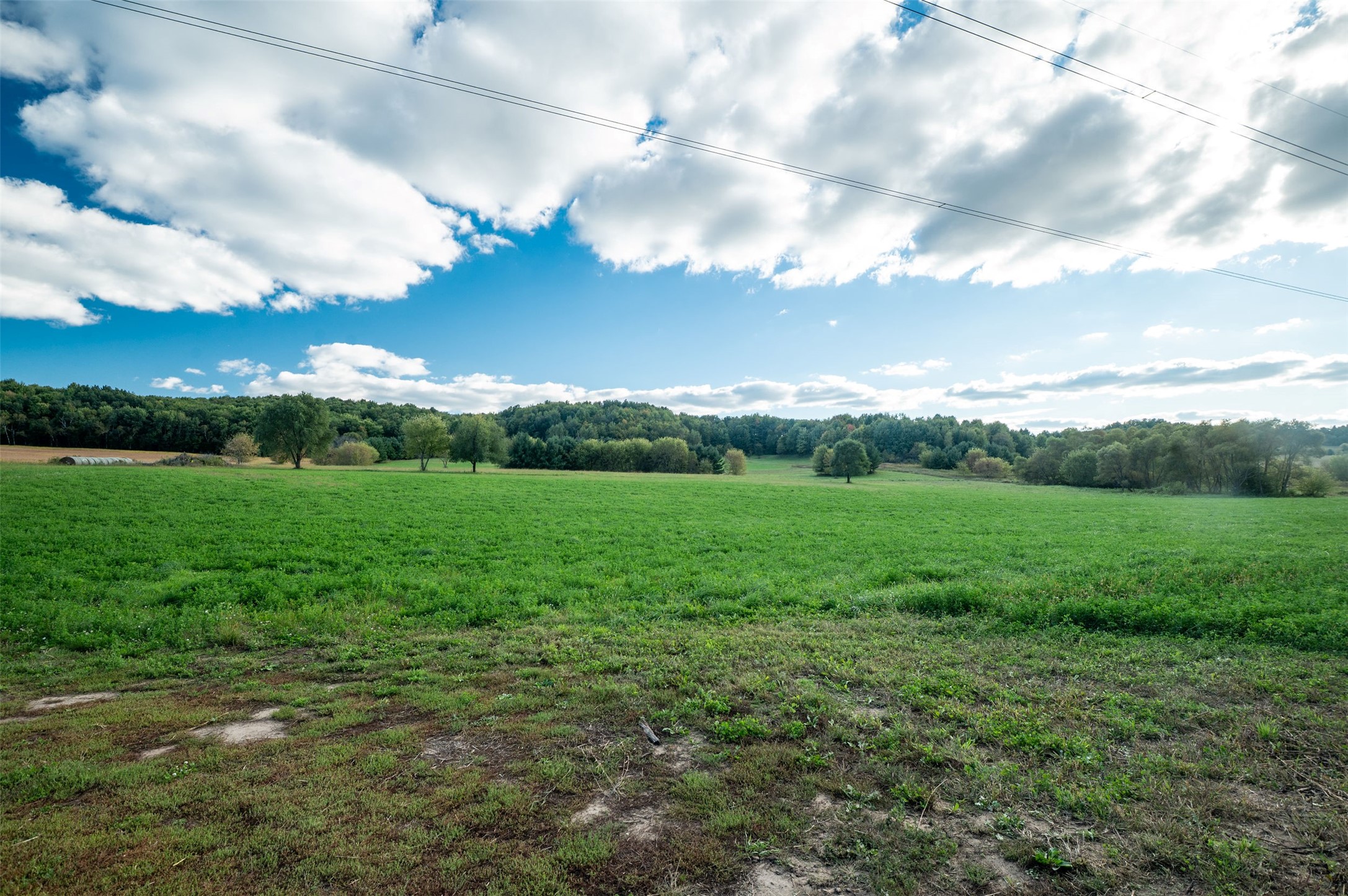 Property Photo #38