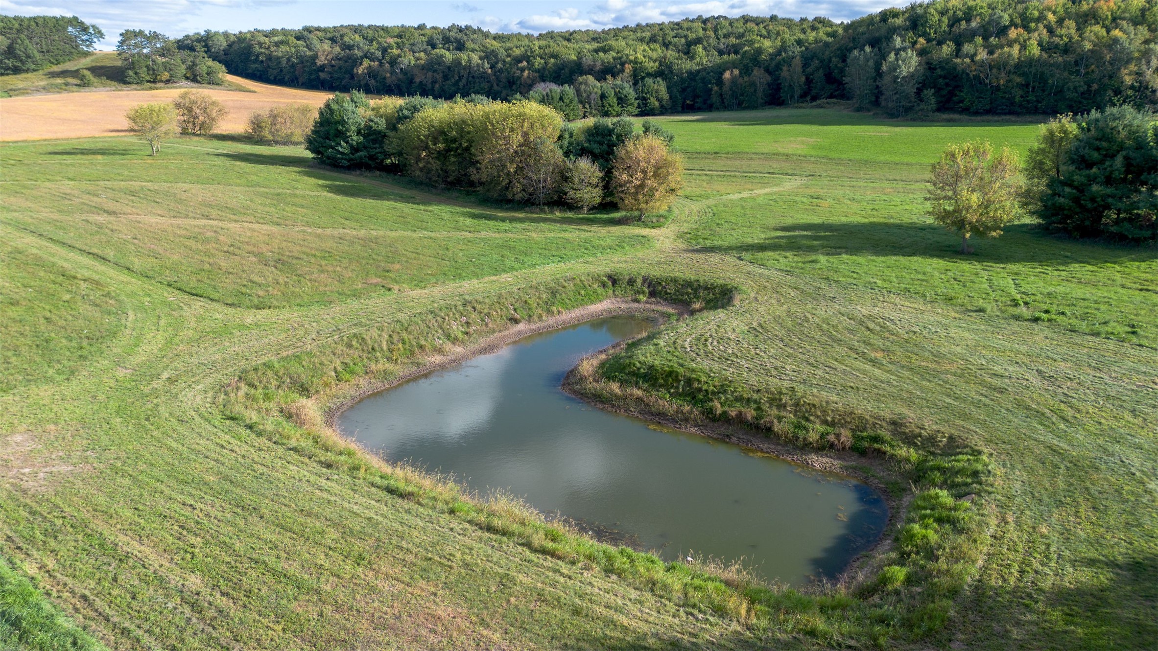 Property Photo #8