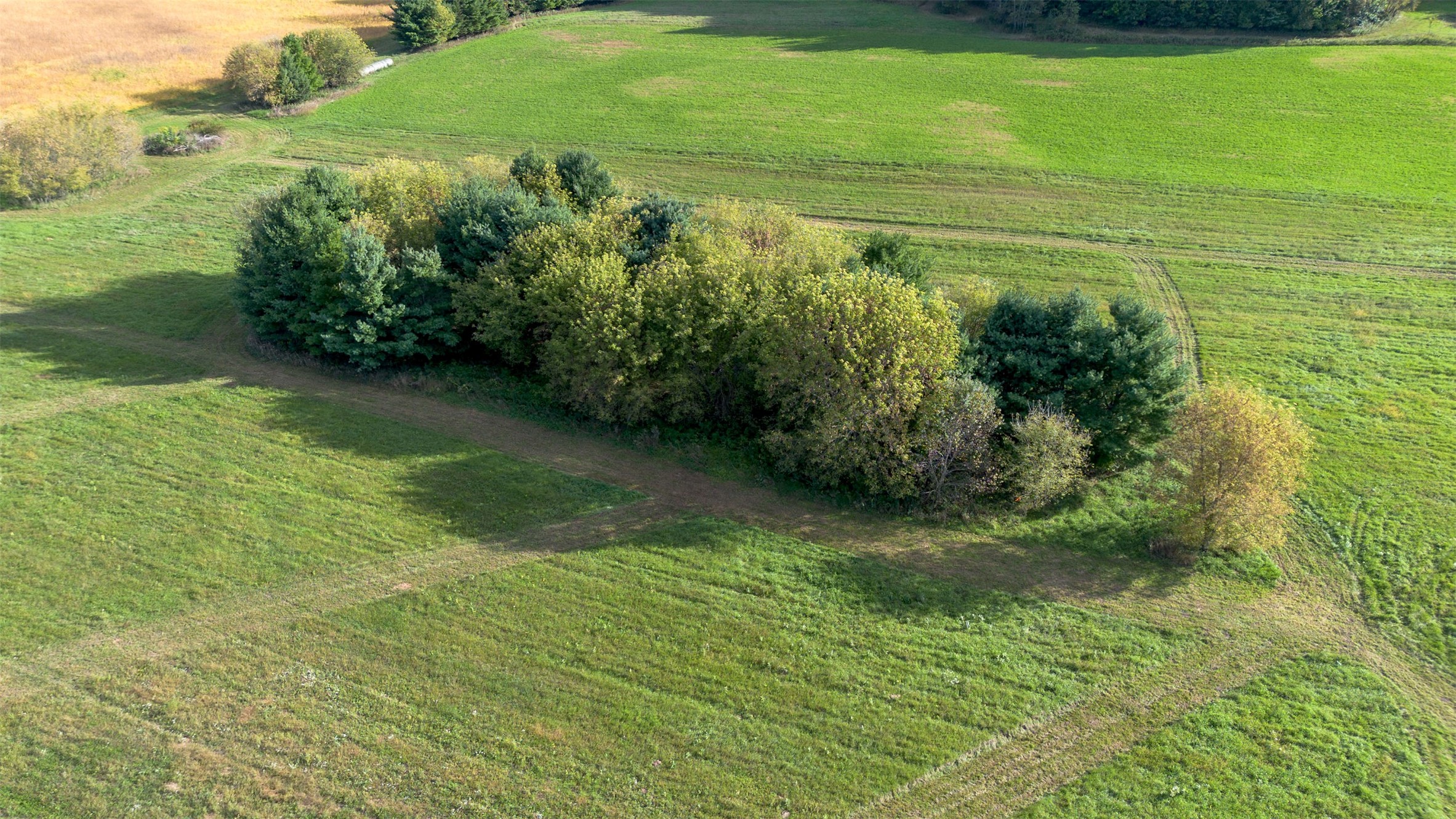 Property Photo #9