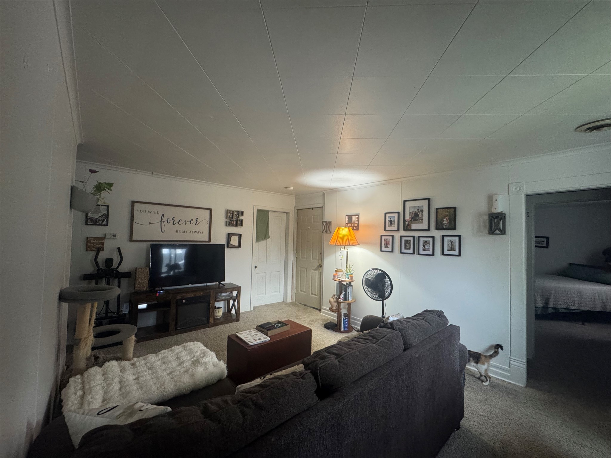 Property Photo #6