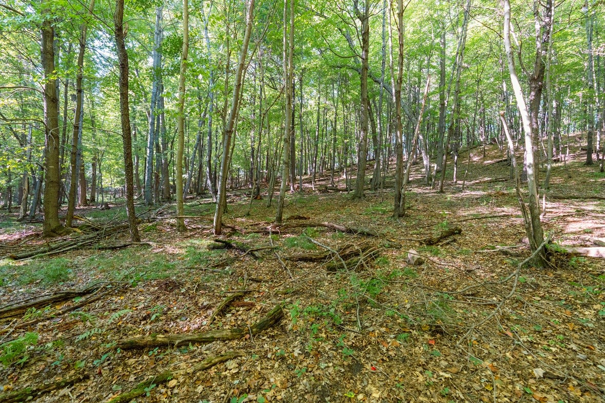 Property Photo #11