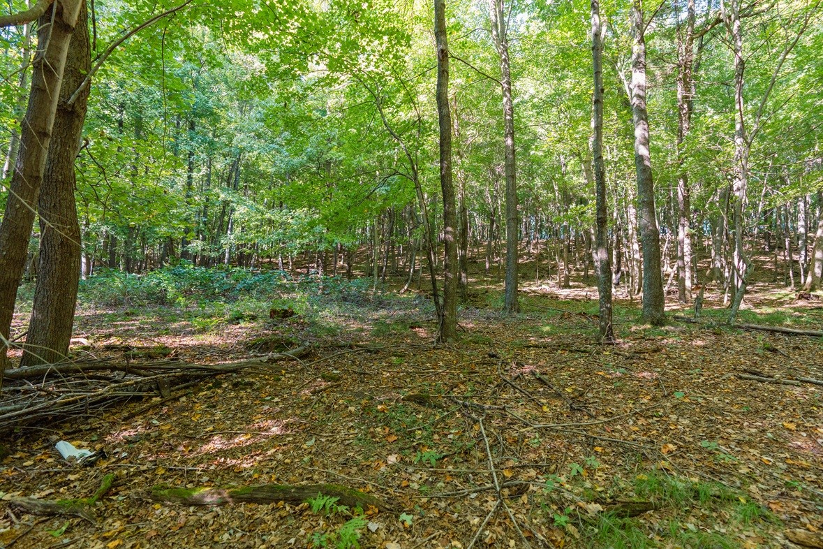 Property Photo #13