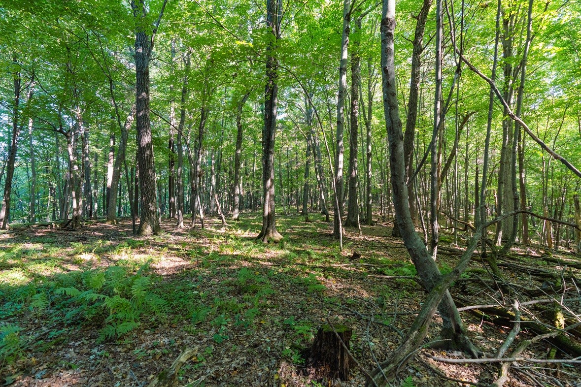Property Photo #15