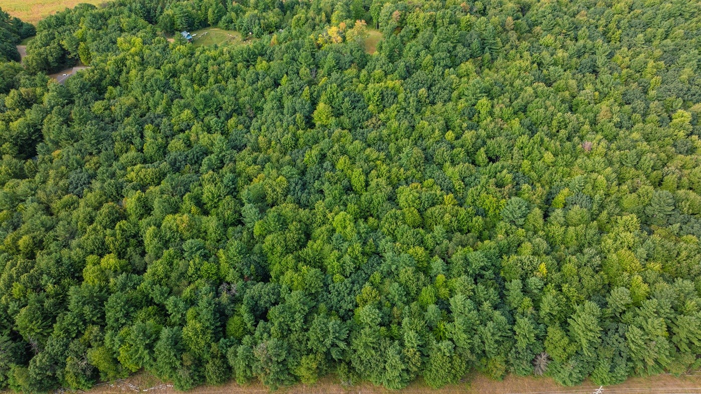 Menomonie - Land photo 2 of 17