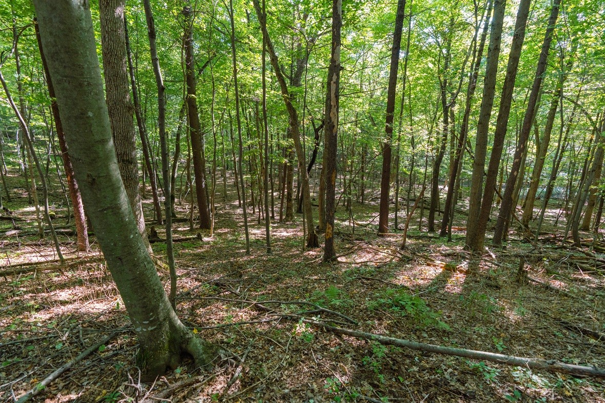 Property Photo #7