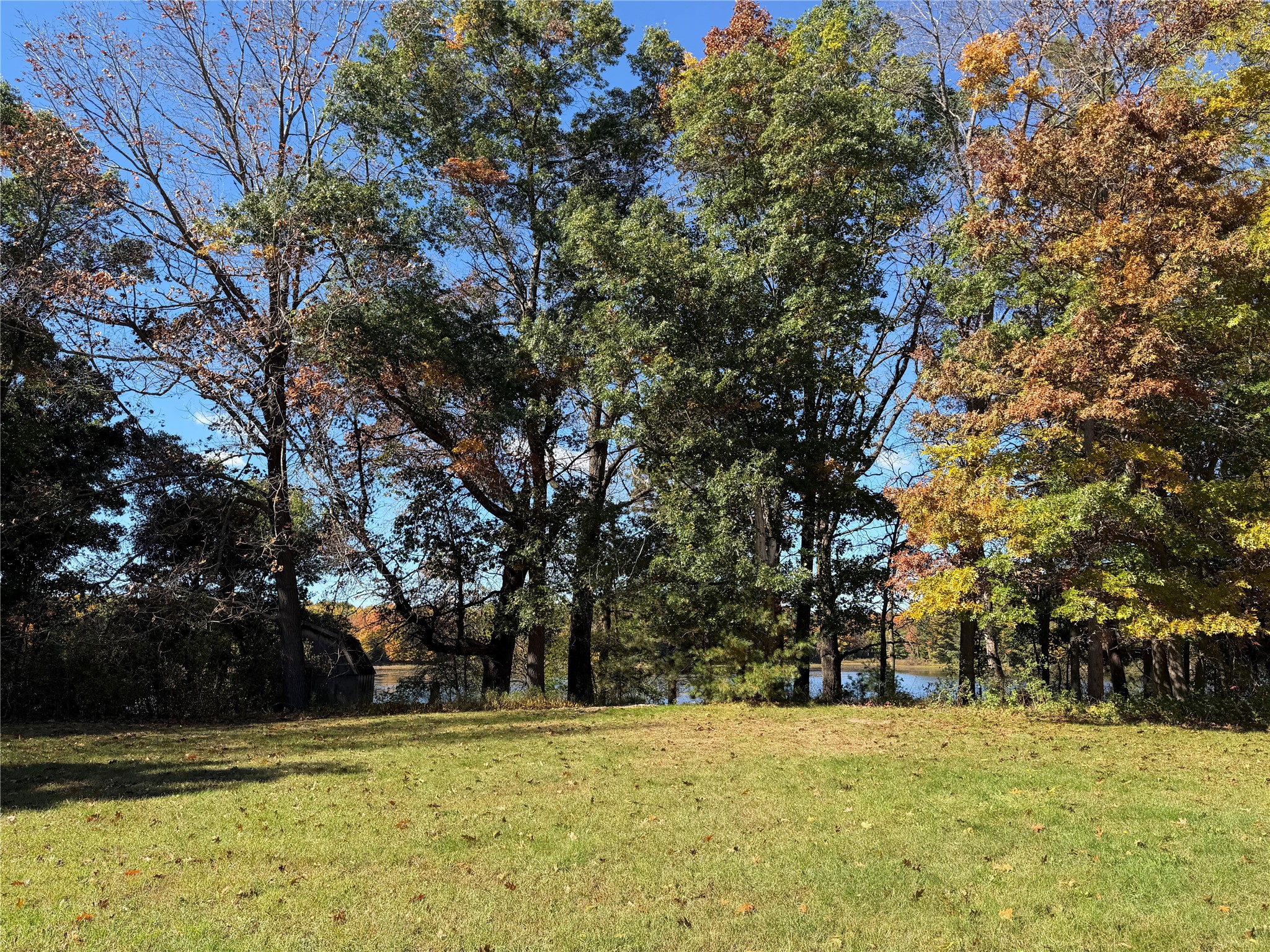 Property Photo #12