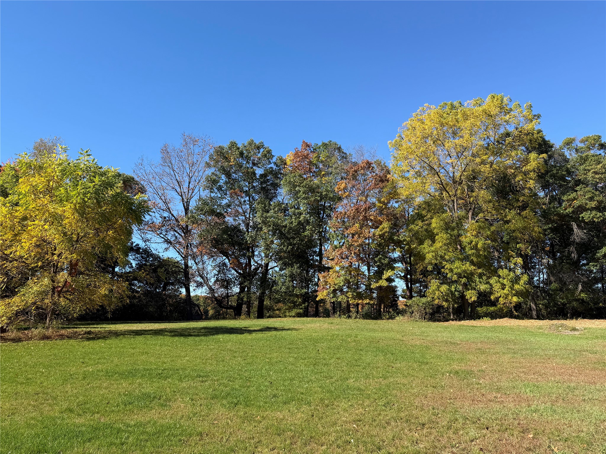 Property Photo #7
