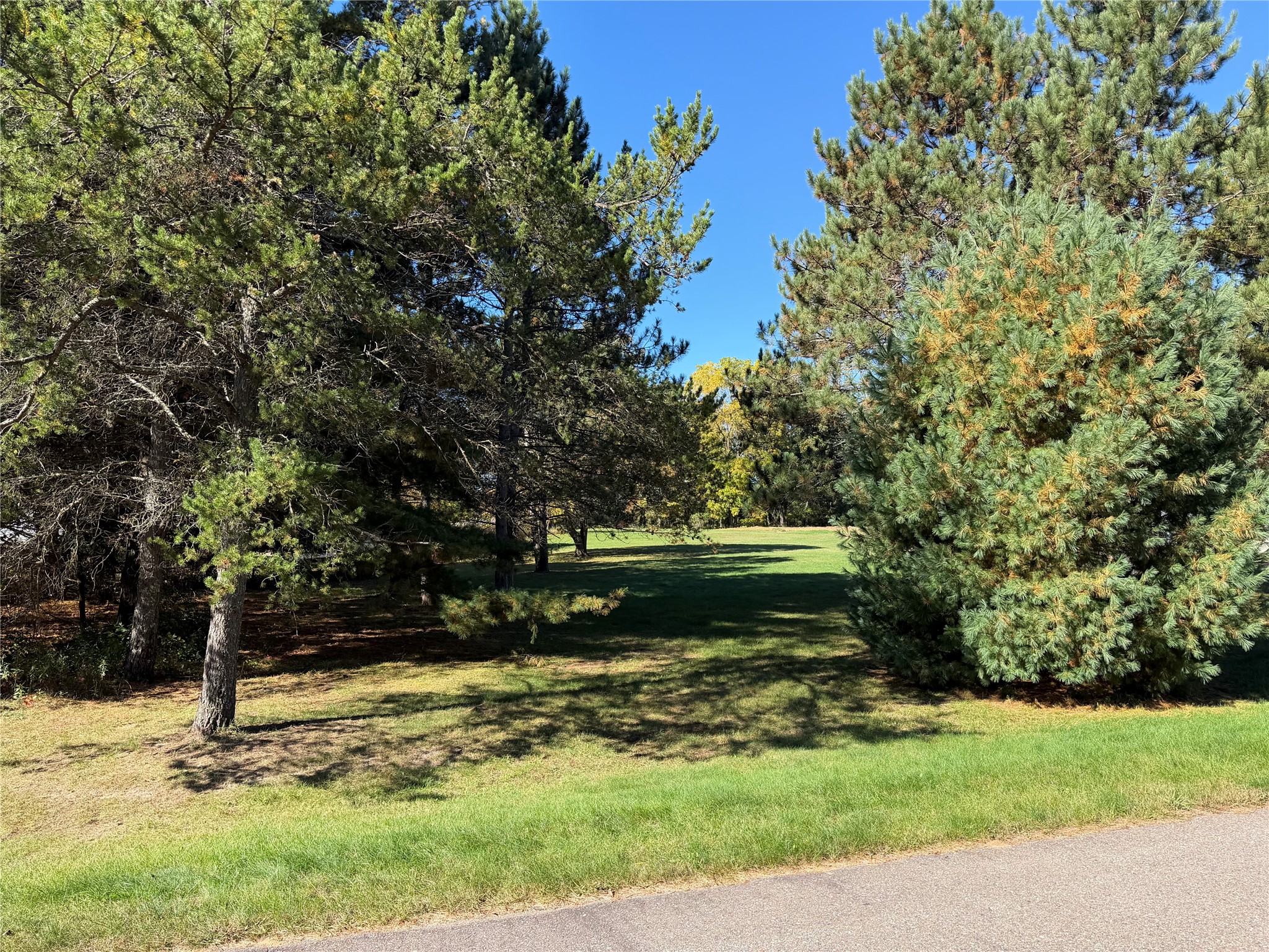 Property Photo #9