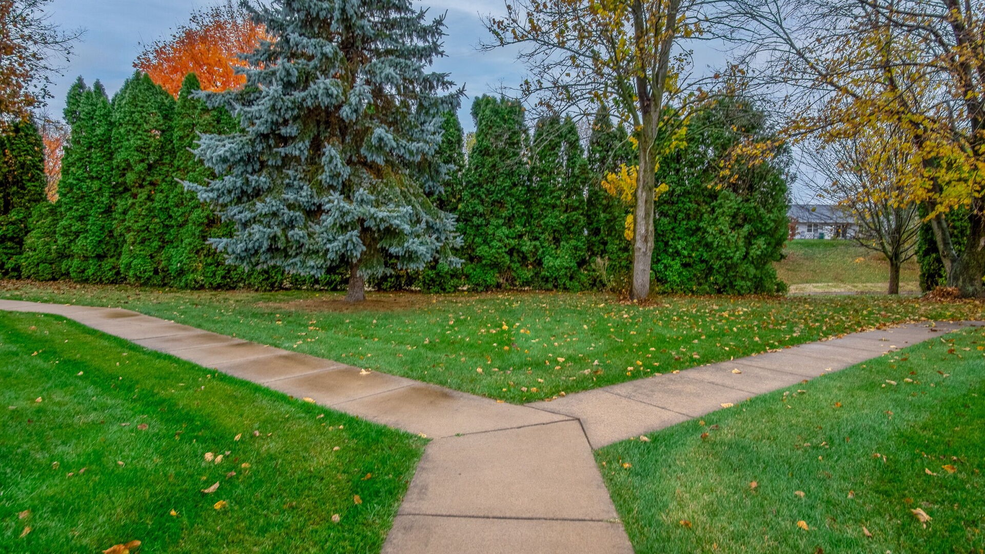 Property Photo #32